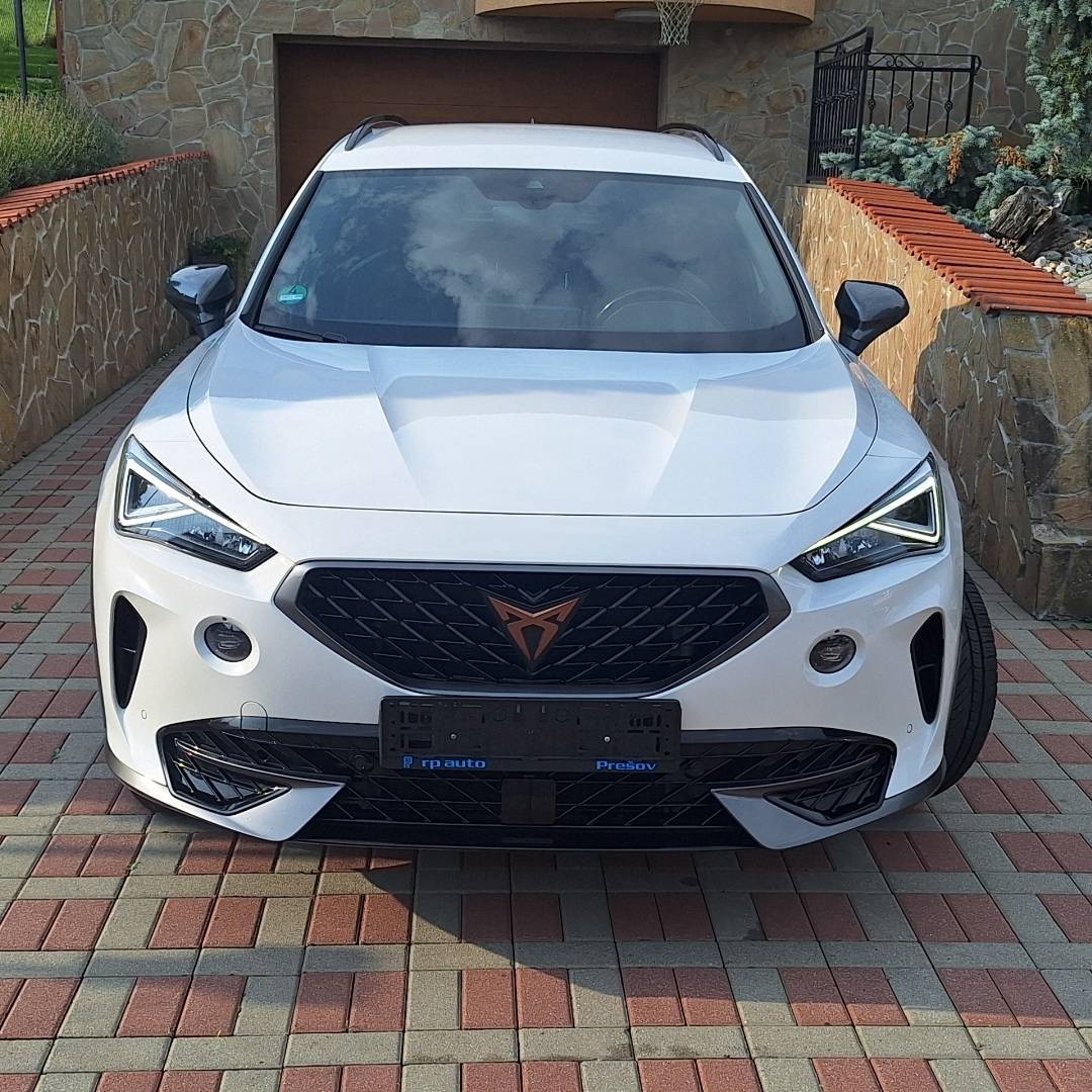 Cupra Formentor 2.0 TDI 150k 4Drive DSG Kamera,Navi