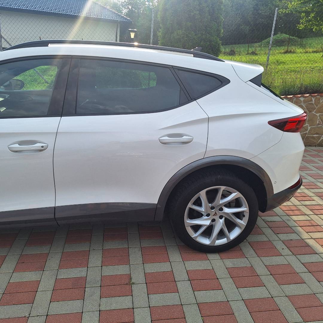 Cupra Formentor 2.0 TDI 150k 4Drive DSG Kamera,Navi