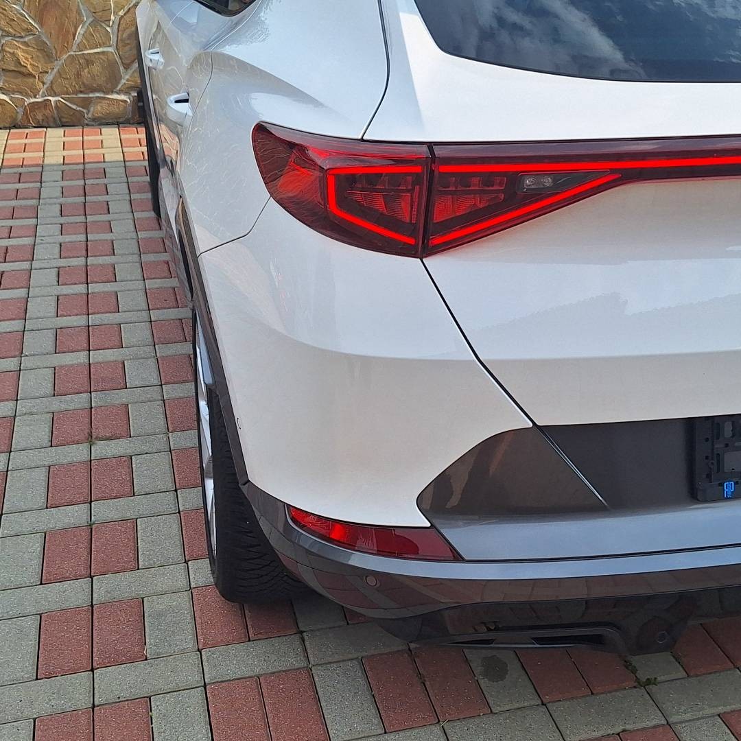 Cupra Formentor 2.0 TDI 150k 4Drive DSG Kamera,Navi
