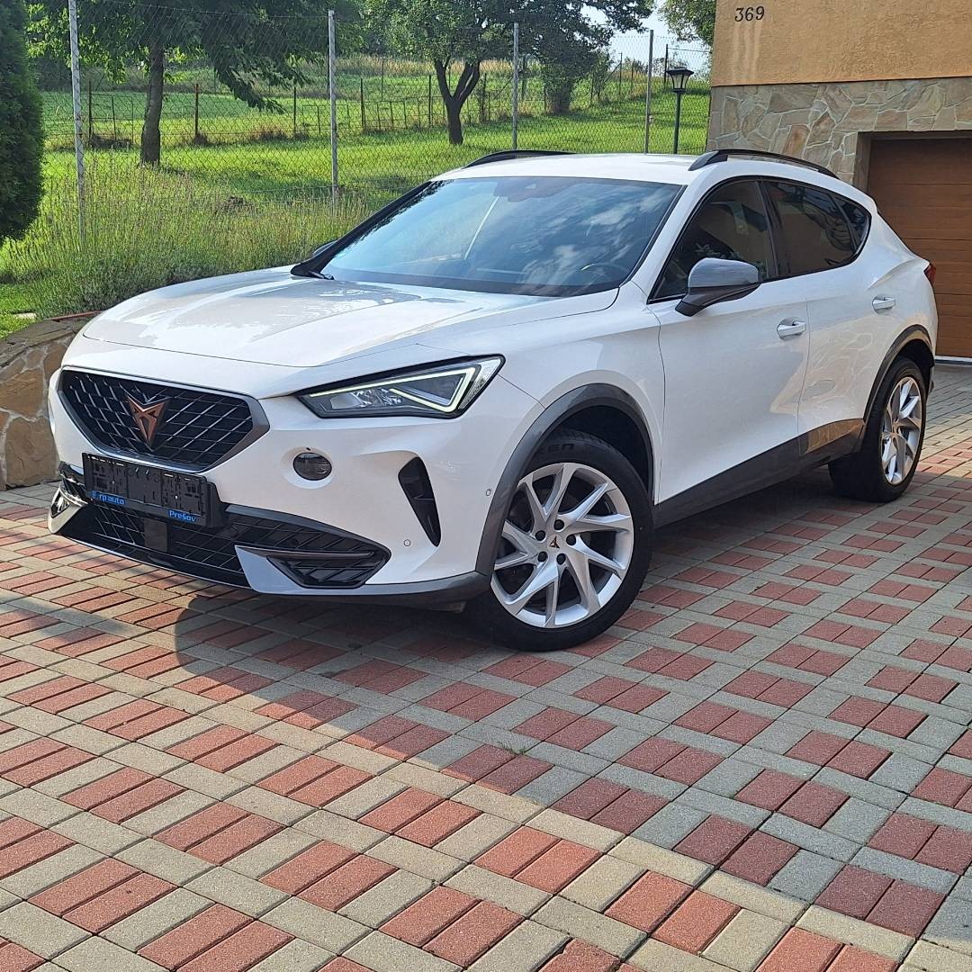 Cupra Formentor 2.0 TDI 150k 4Drive DSG Kamera,Navi