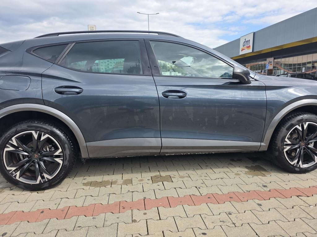 Cupra Formentor 2.0 TDI 150k 4Drive DSG