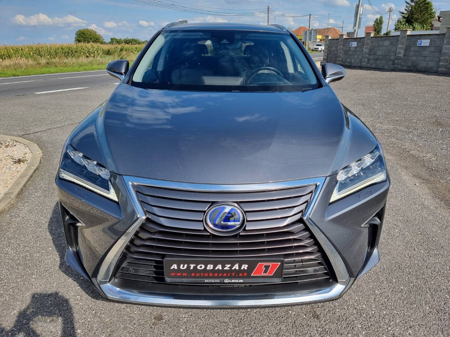 Lexus RX 450h AWD Luxury