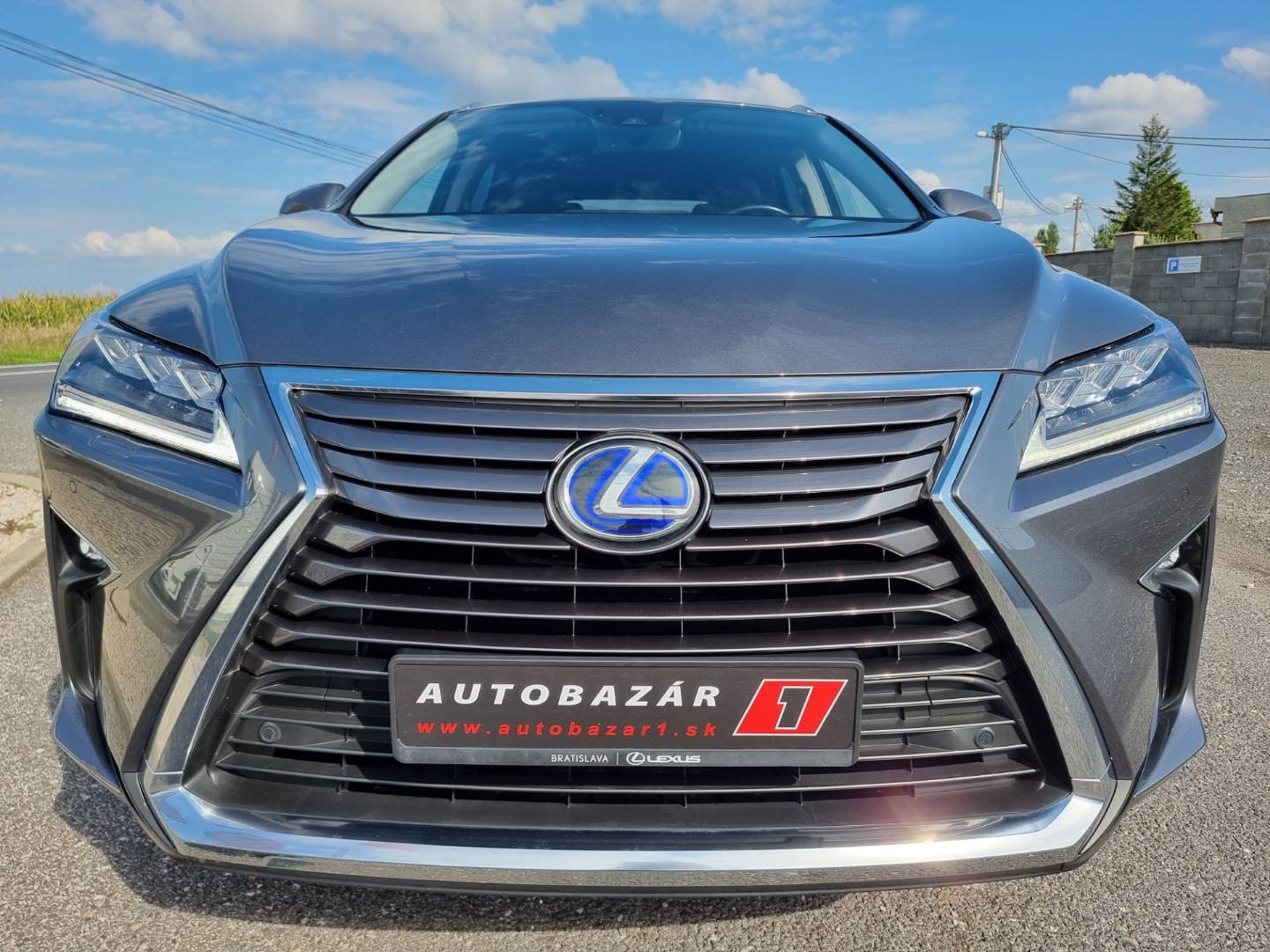 Lexus RX 450h AWD Luxury