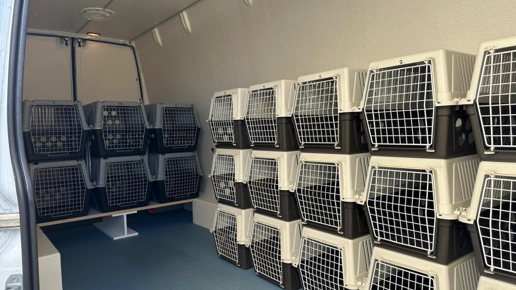 Iveco Daily Skriňa 129kw Automat