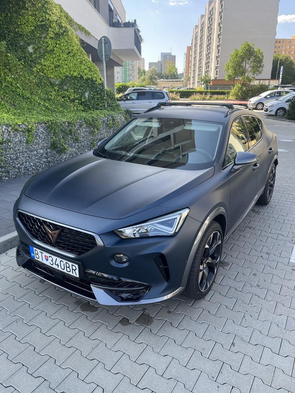Cupra Formentor 2.0 TSI 190k 4Drive DSG