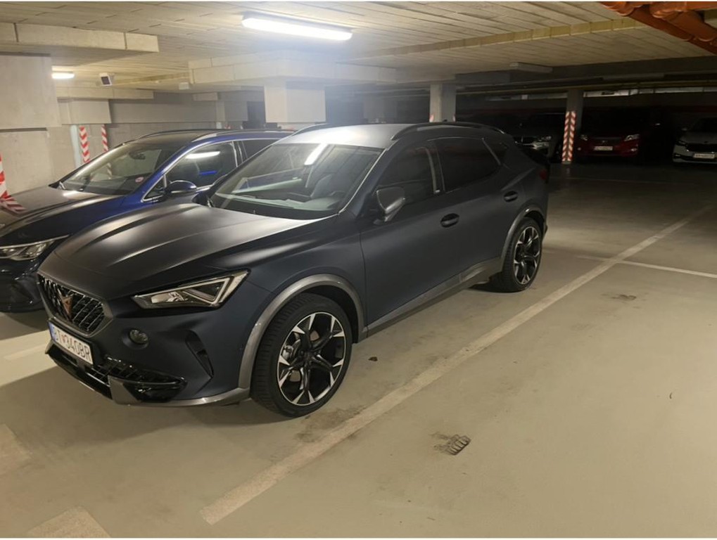 Cupra Formentor 2.0 TSI 190k 4Drive DSG