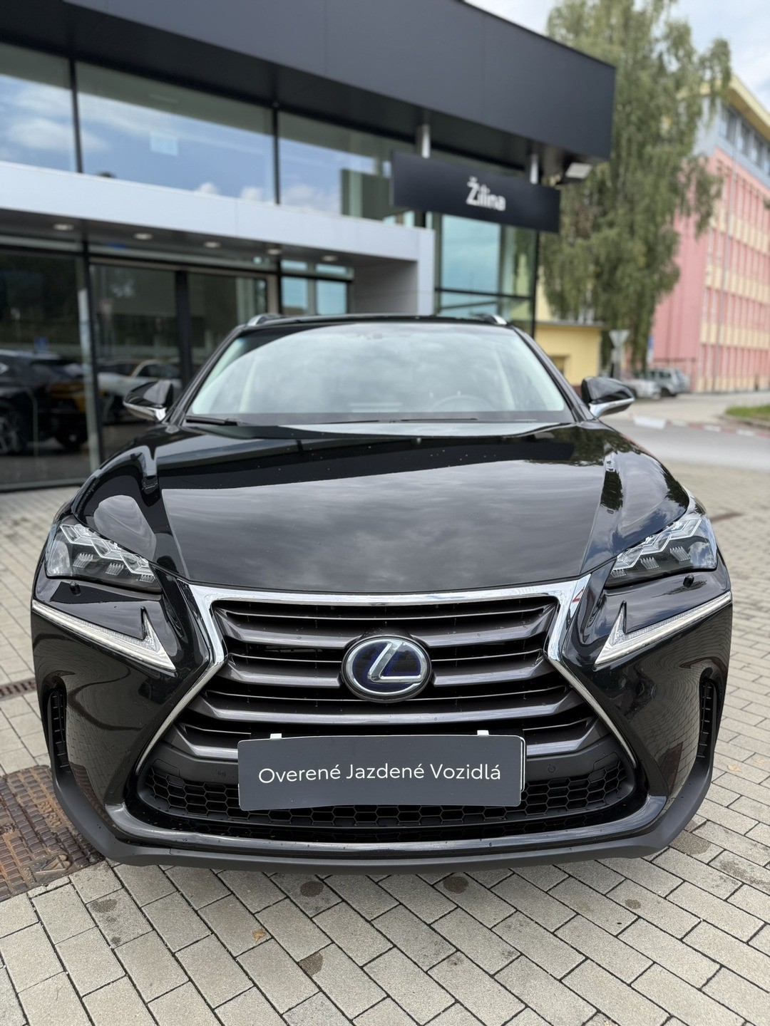 Lexus NX 300h Luxury