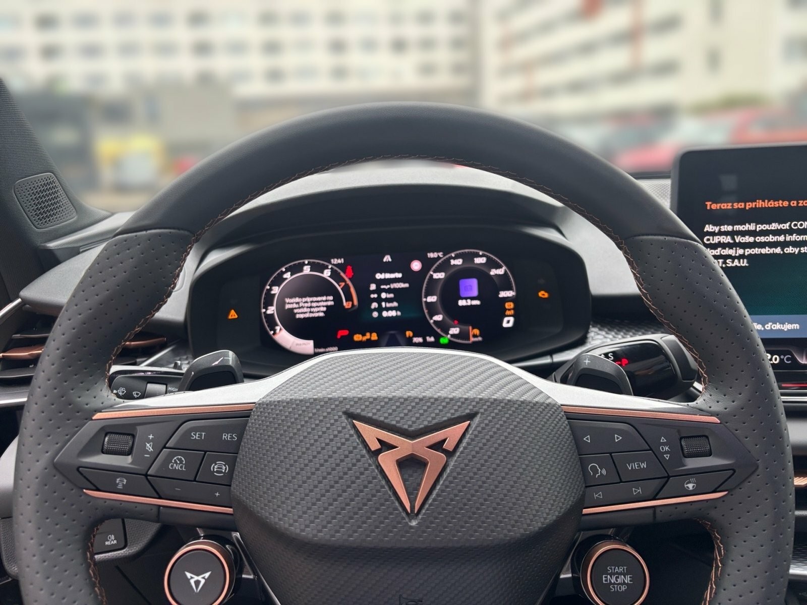 Cupra Terramar 2,0 TSI 204 4D 7DSG