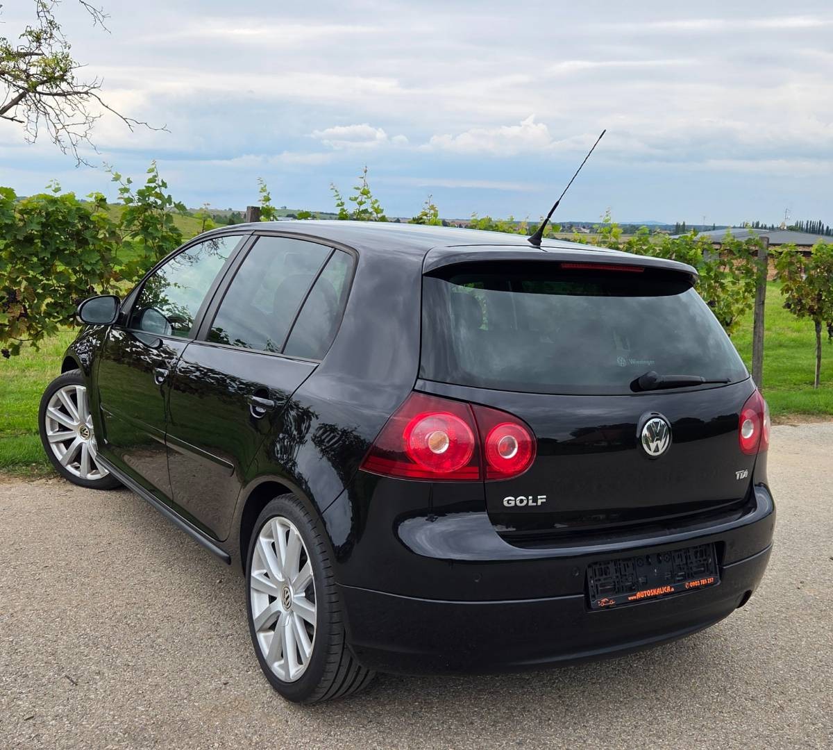 Volkswagen Golf 1.9 TDI GT Sport M5