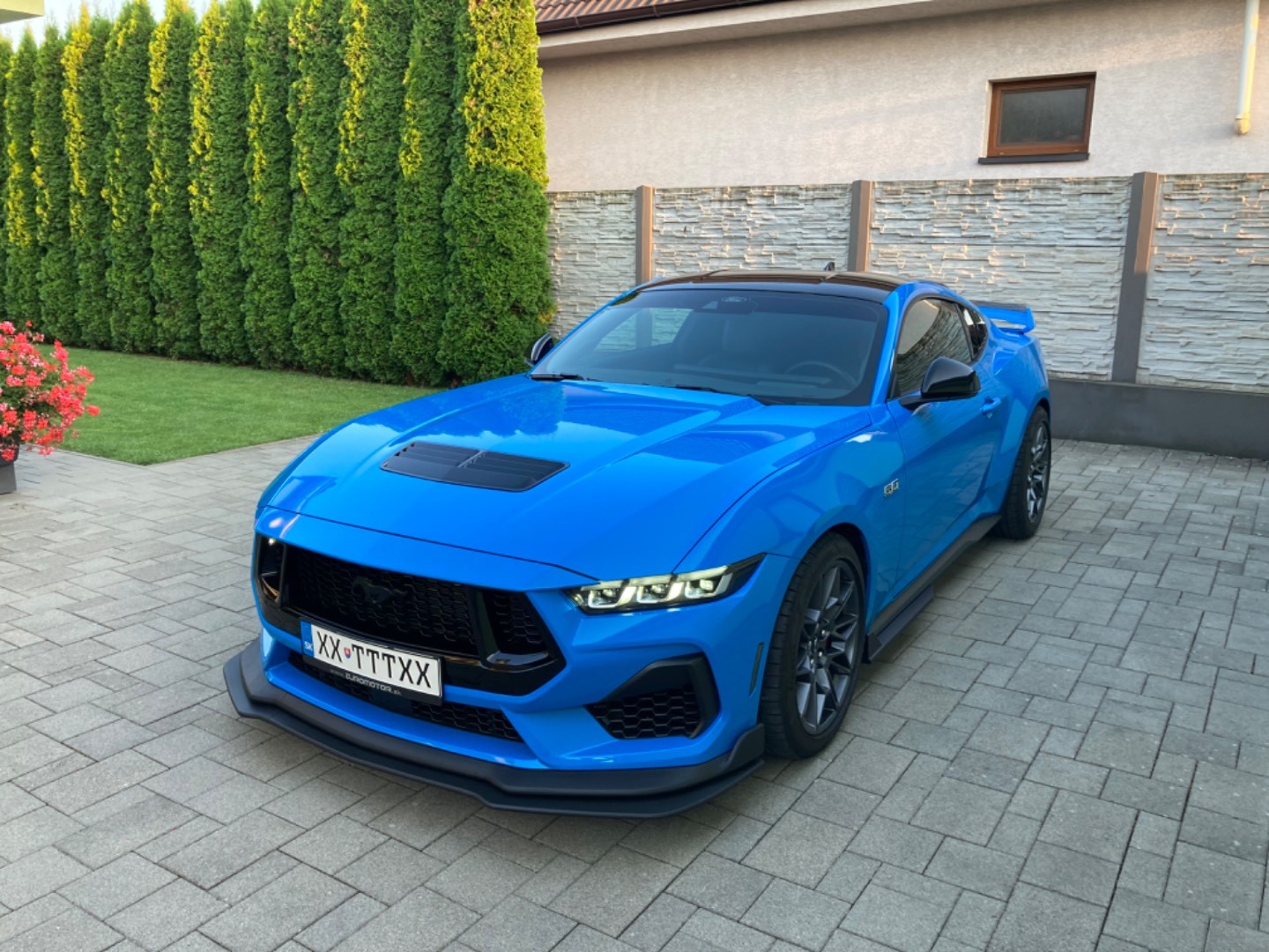 Ford Mustang GT 5.0 NEW model