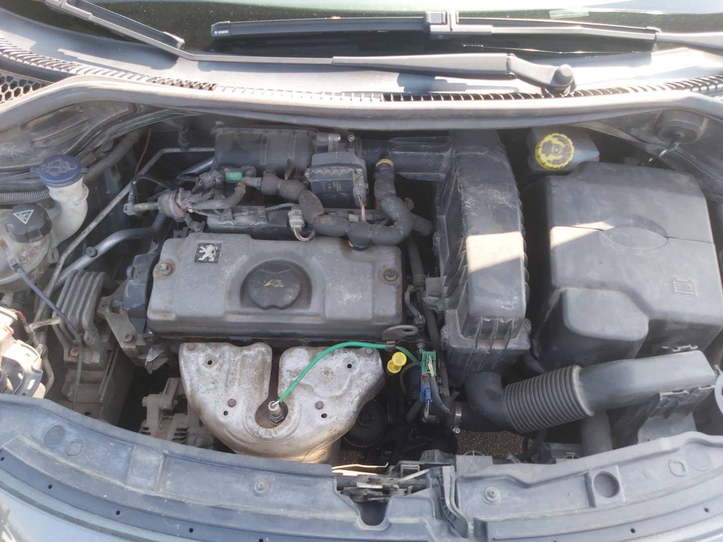 Peugeot 207 1.4e Slovakia Globe