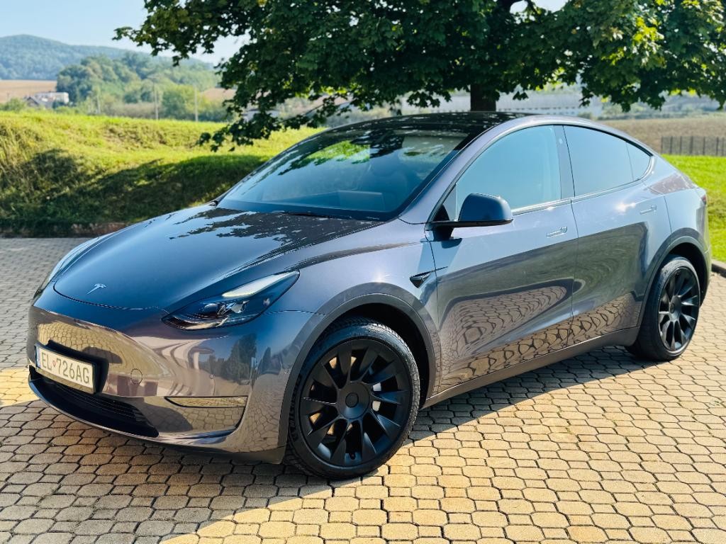 Tesla Model Y Long Range 4x4 DPH Enhanced Autopilot