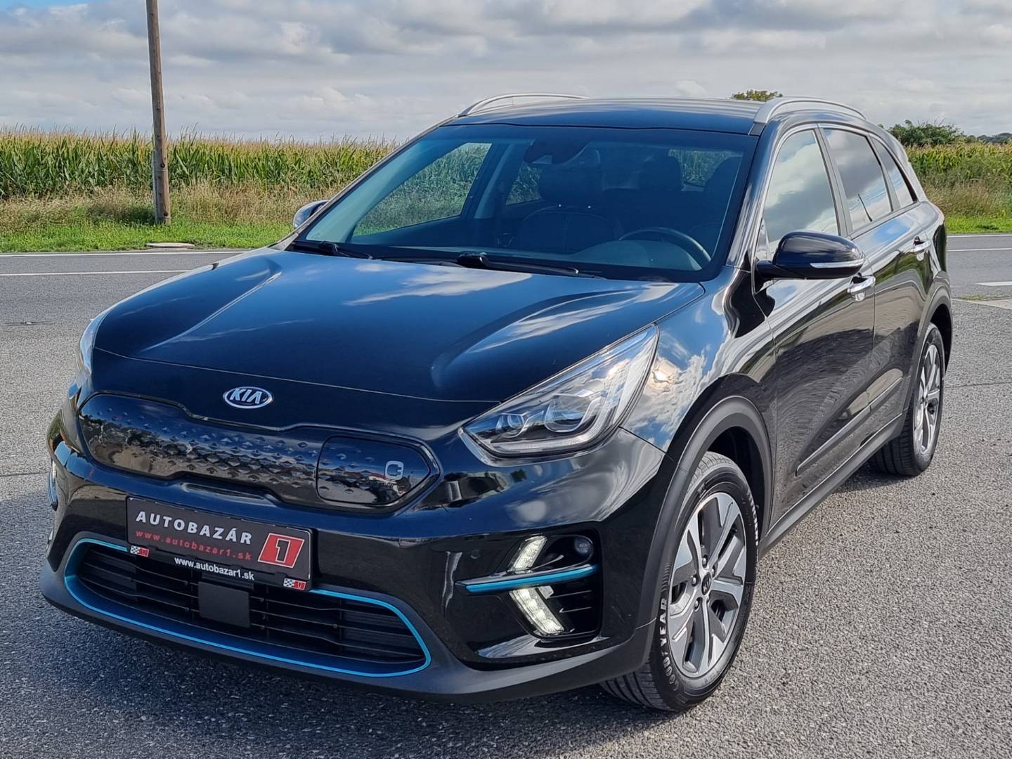 Kia Niro EV 64 kWh Platinum