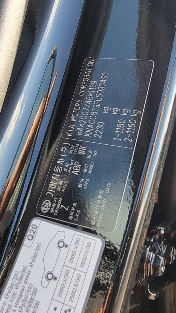 Kia Niro EV 64 kWh Platinum