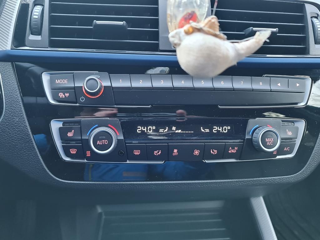 BMW Rad 1 118d M Sport A/T
