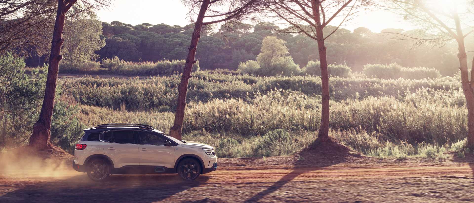 Citroën C5 Aircross Hybrid EAT, 8-speed