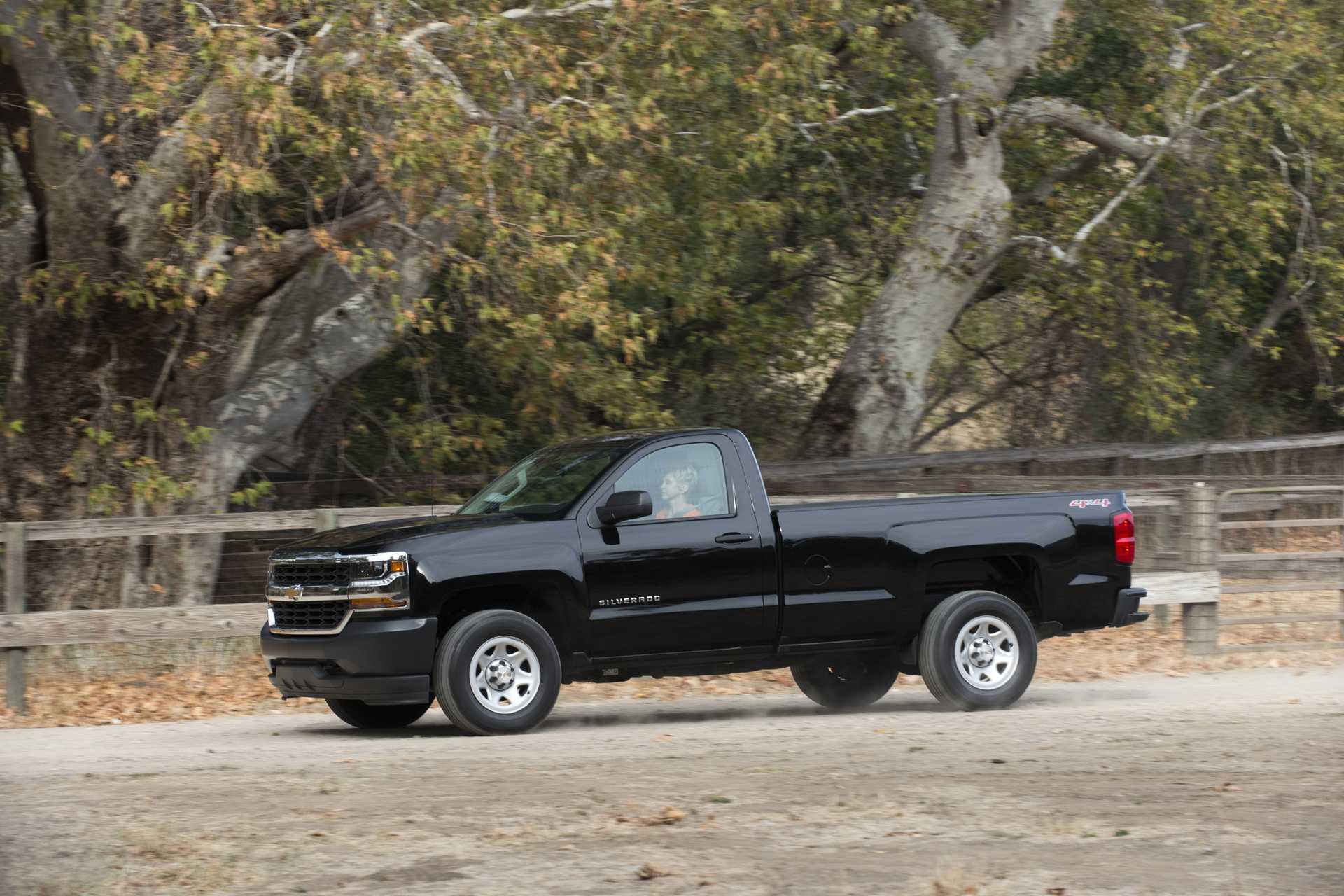 Chevrolet Silverado 1500 Regular Cab 5.3 V8 E85 4WD Hydra-Matic, 360hp, 2018