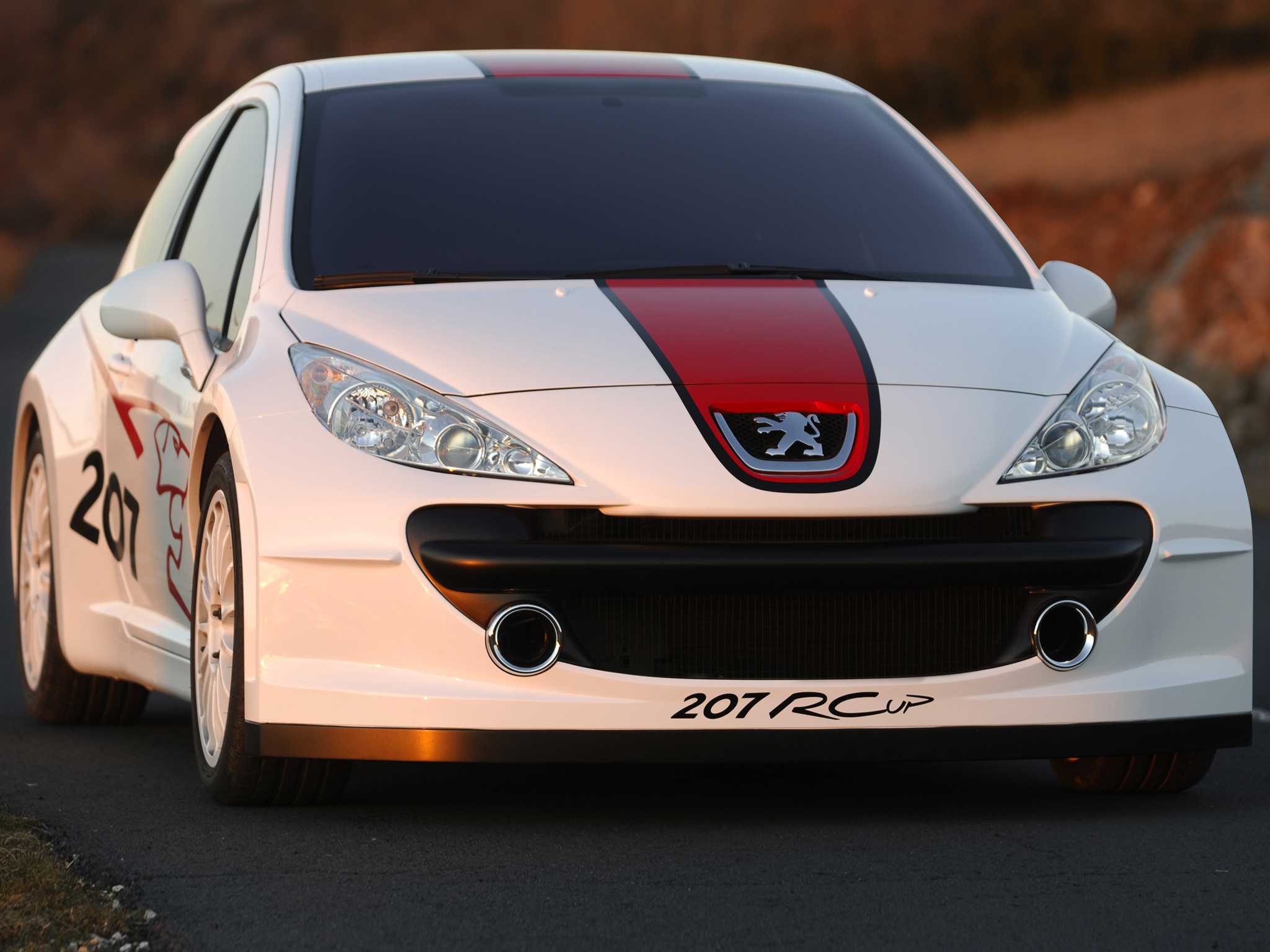 Peugeot 207 RCup 2.0 Manual, 284hp, 2006