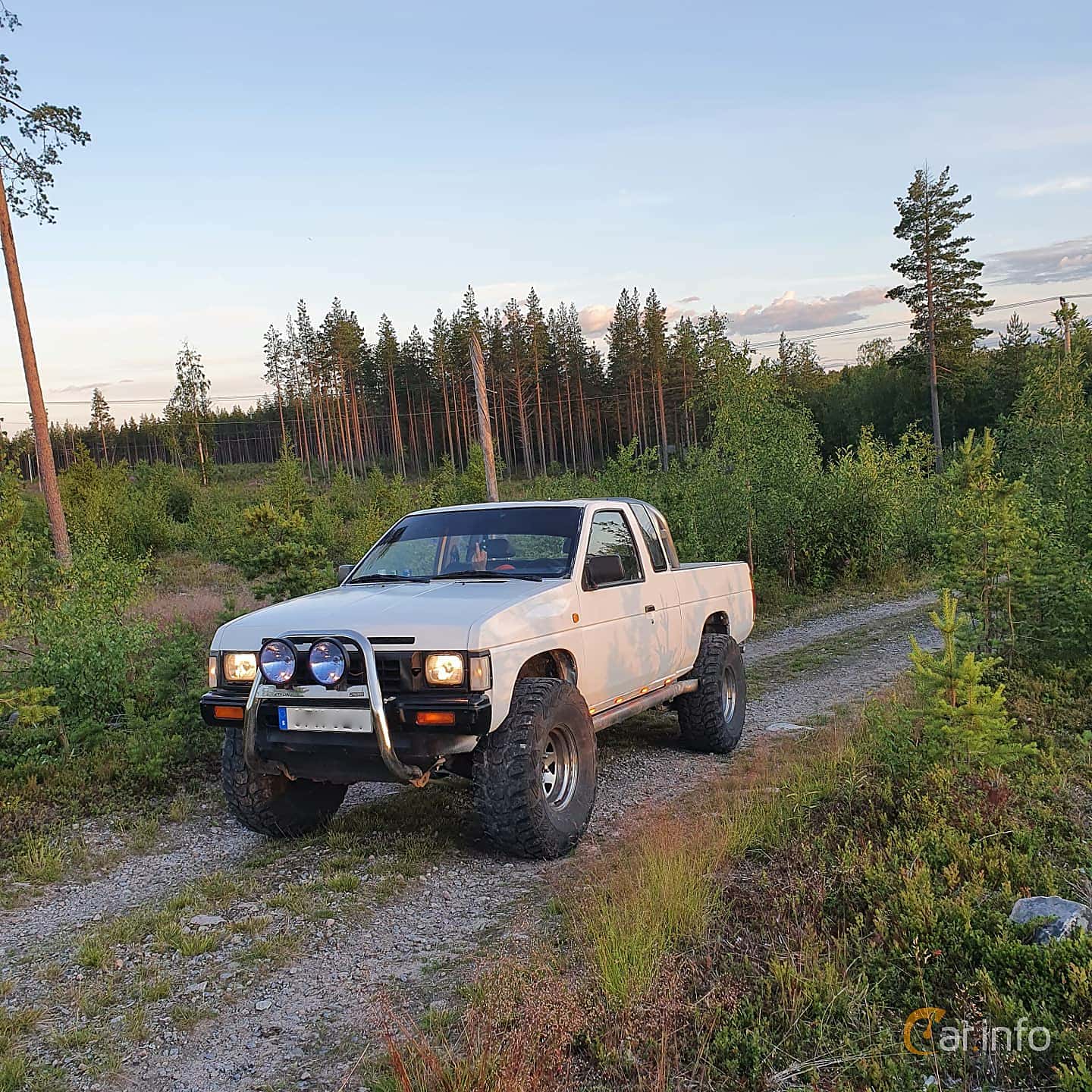 Nissan Navara King Cab 2.5 Manual, 75hp, 1991