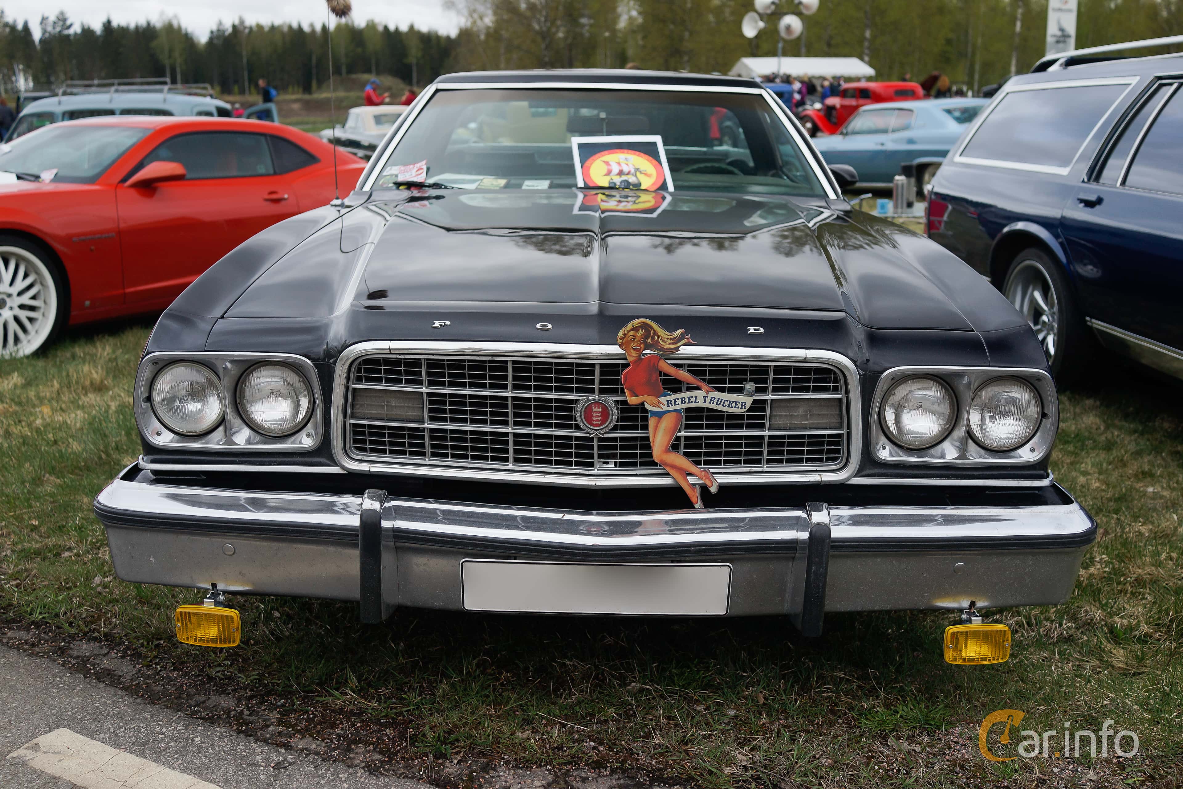 Ford Ranchero 6.6 V8 Automatic, 170hp, 1973