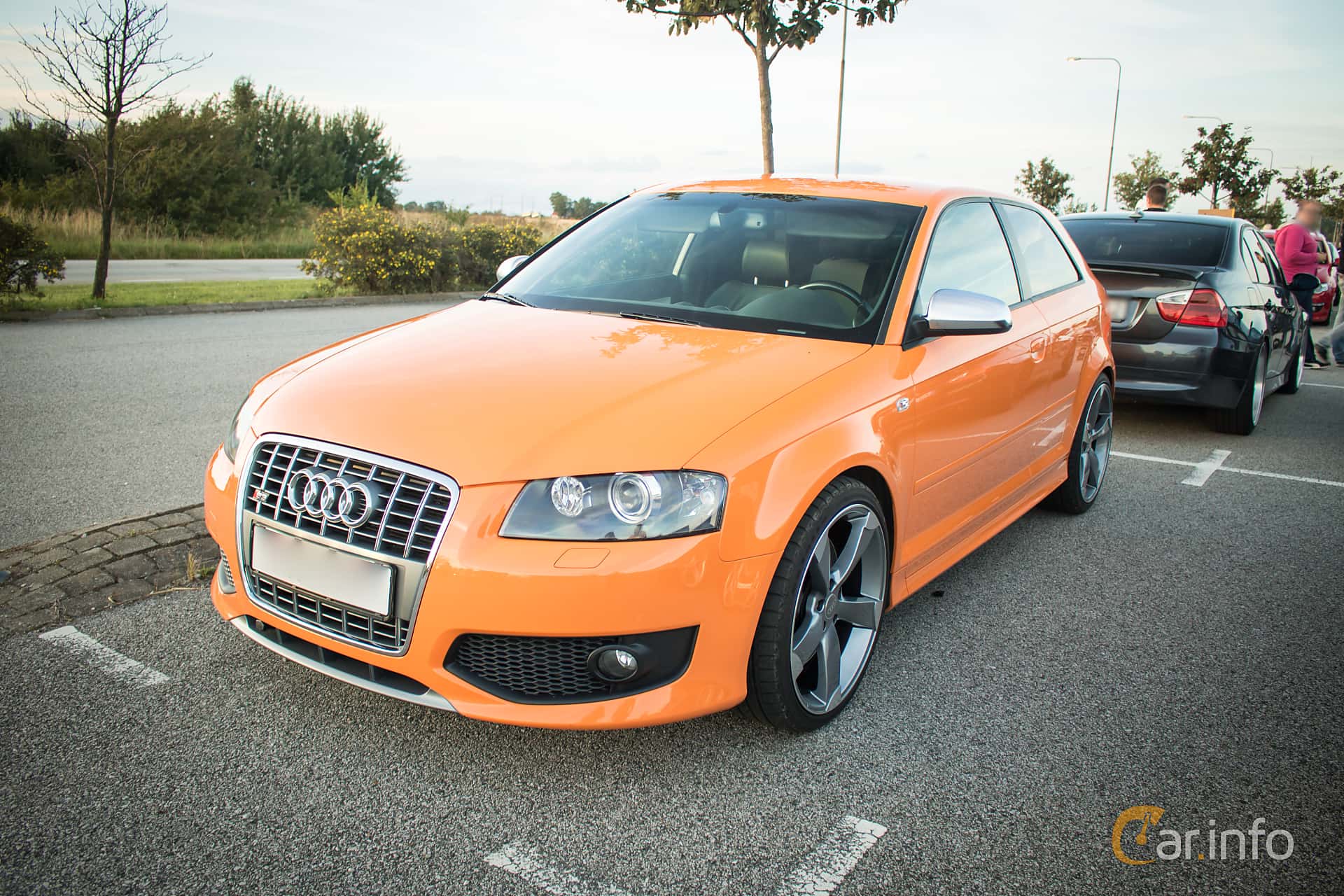 Audi S3 2.0 TFSI quattro Manual, 265hp, 2007