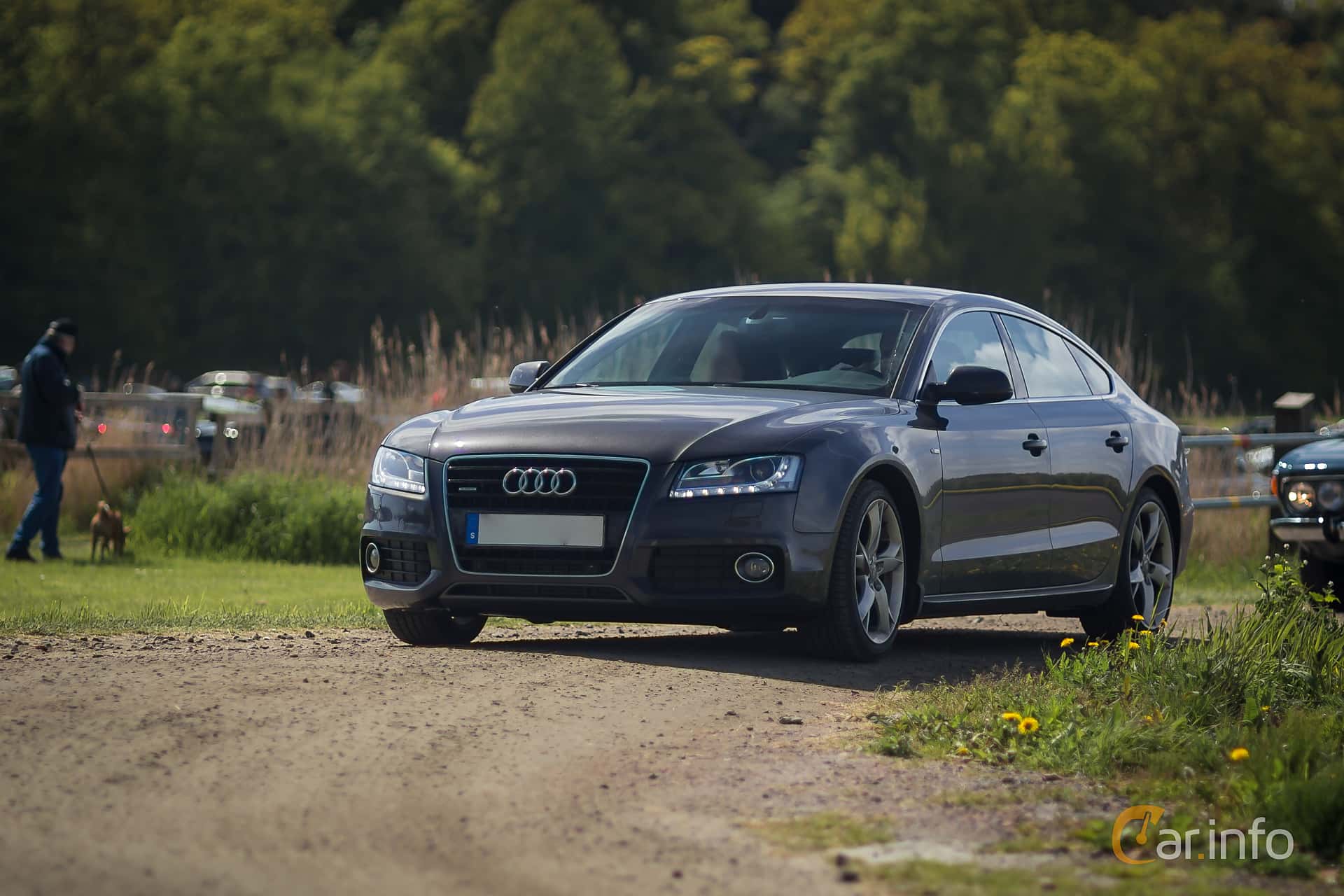 Audi A5 Sportback 3.0 TDI V6 DPF quattro S Tronic, 239hp, 2010