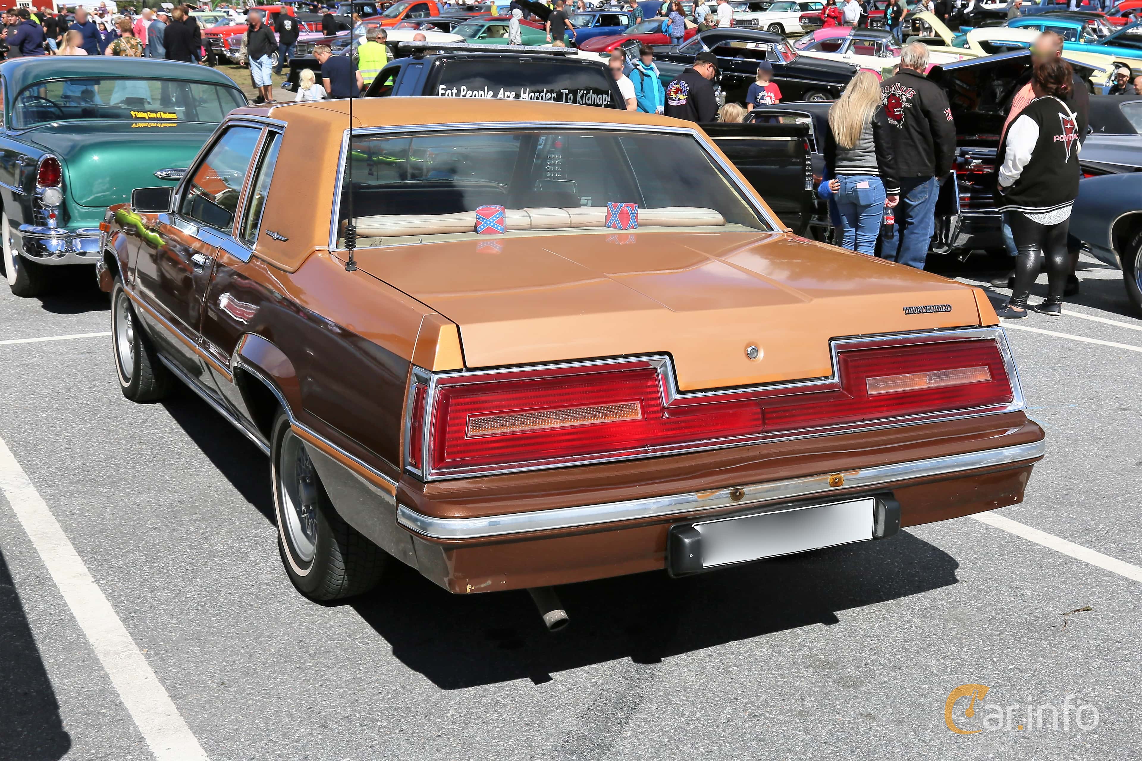 Ford Thunderbird 4.2 V8 Automatic, 117hp, 1980