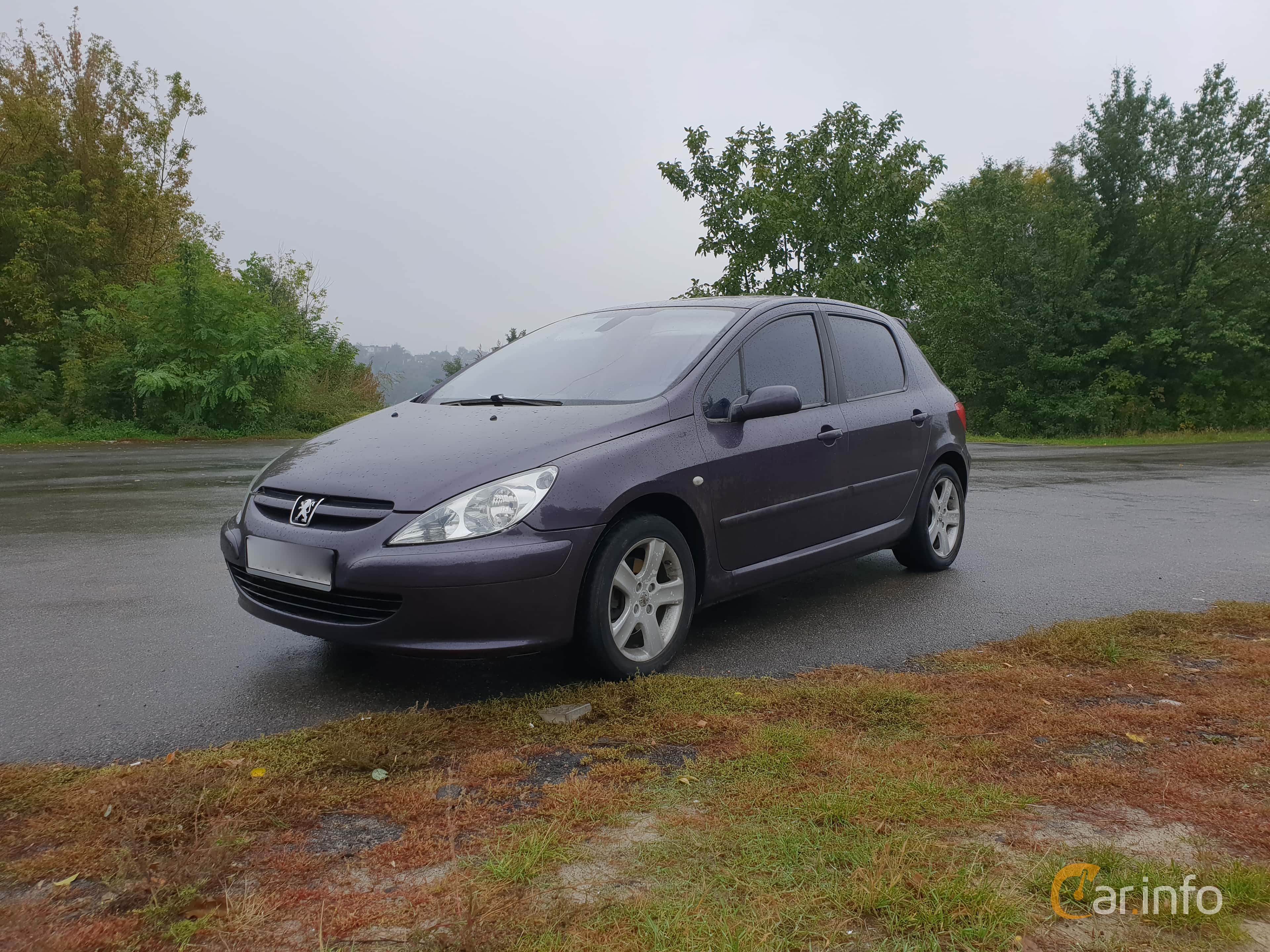 Peugeot 307 5-door 2.0 Manual, 136hp, 2002