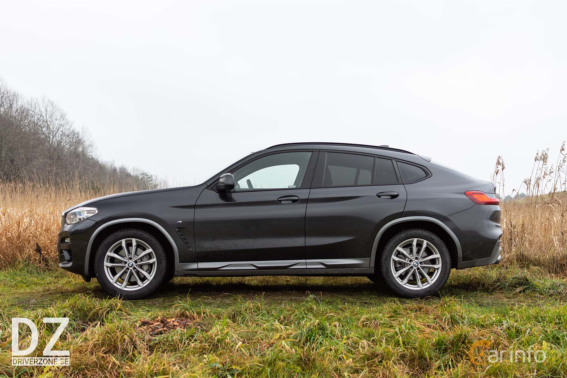 BMW X4 xDrive25d  Steptronic, 231hp, 2019