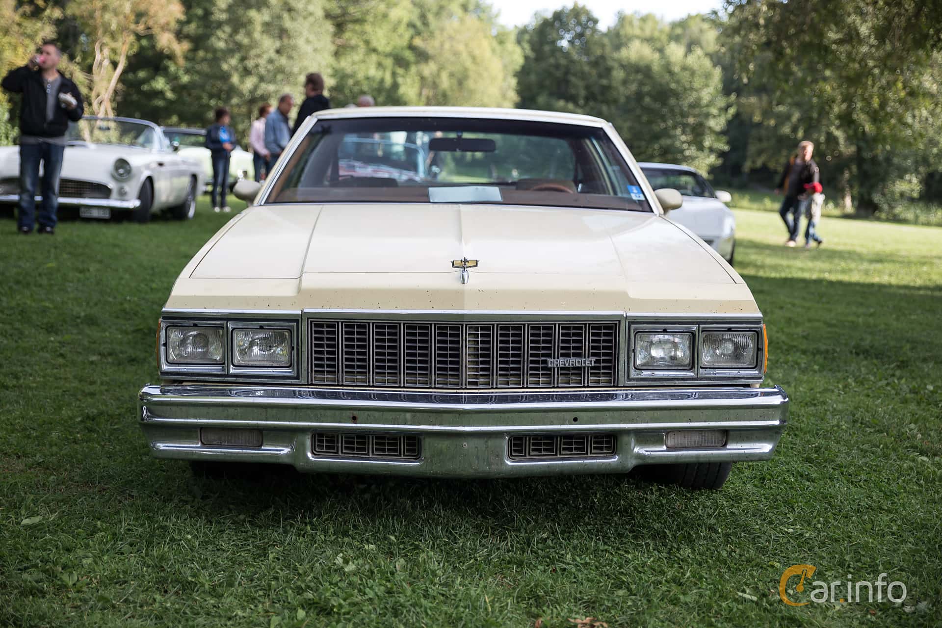 Chevrolet Caprice Classic Coupé 5.7 V8 Hydra-Matic, 172hp, 1979