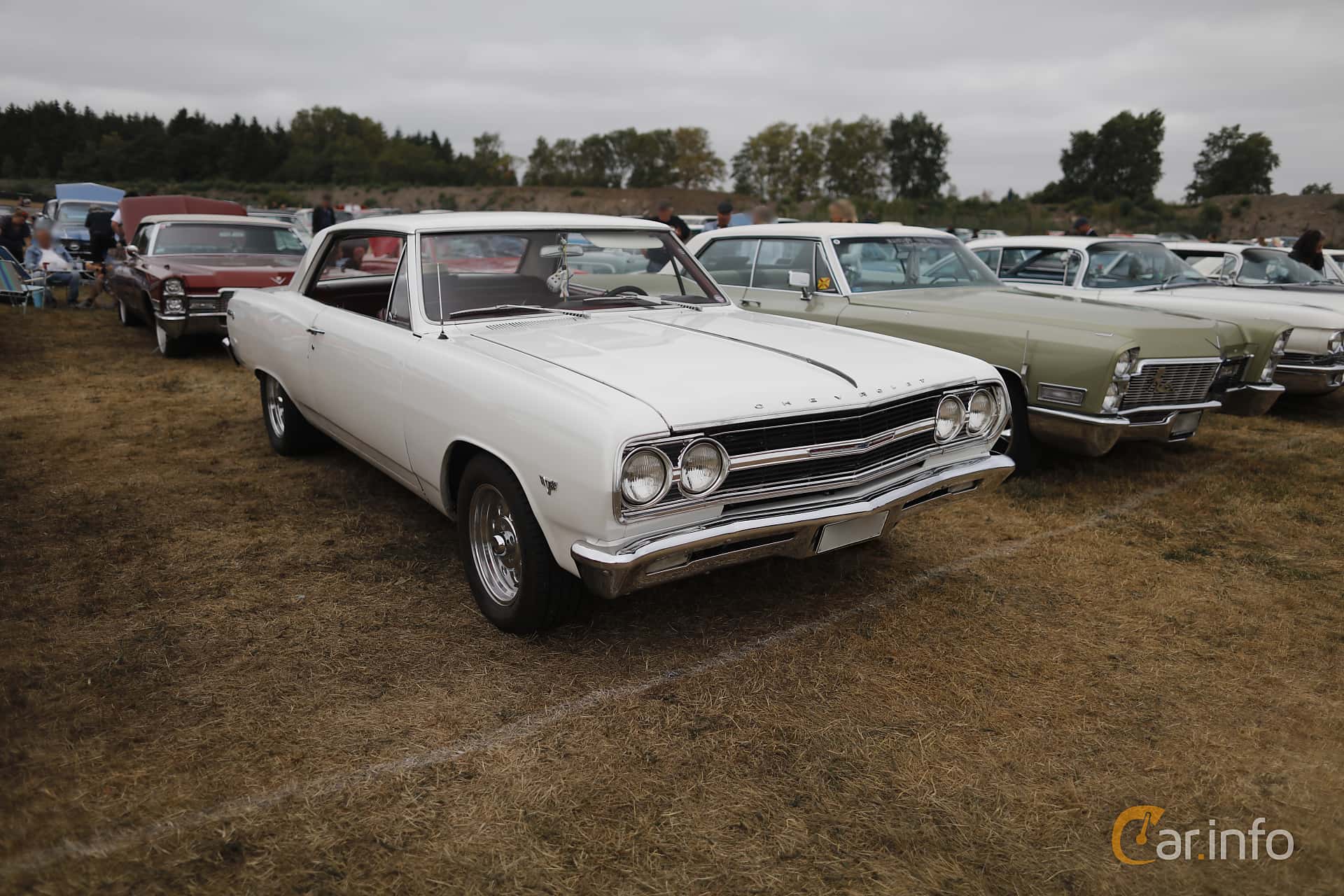 Chevrolet Chevelle Malibu SS 3.8 142hp, 1965