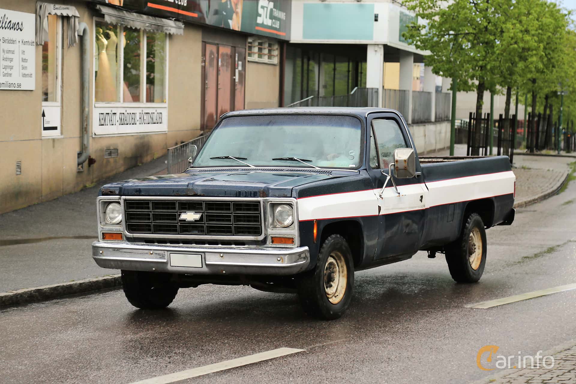 Chevrolet C20 Regular Cab 5.7 V8 Hydra-Matic, 167hp, 1979