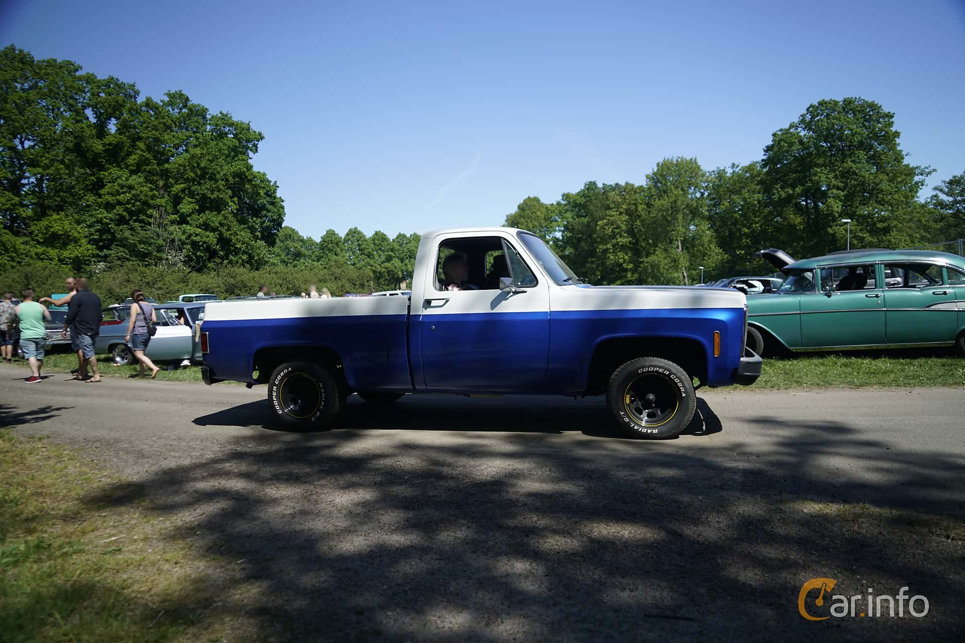 Chevrolet C10 Regular Cab 4.1 132hp, 1979