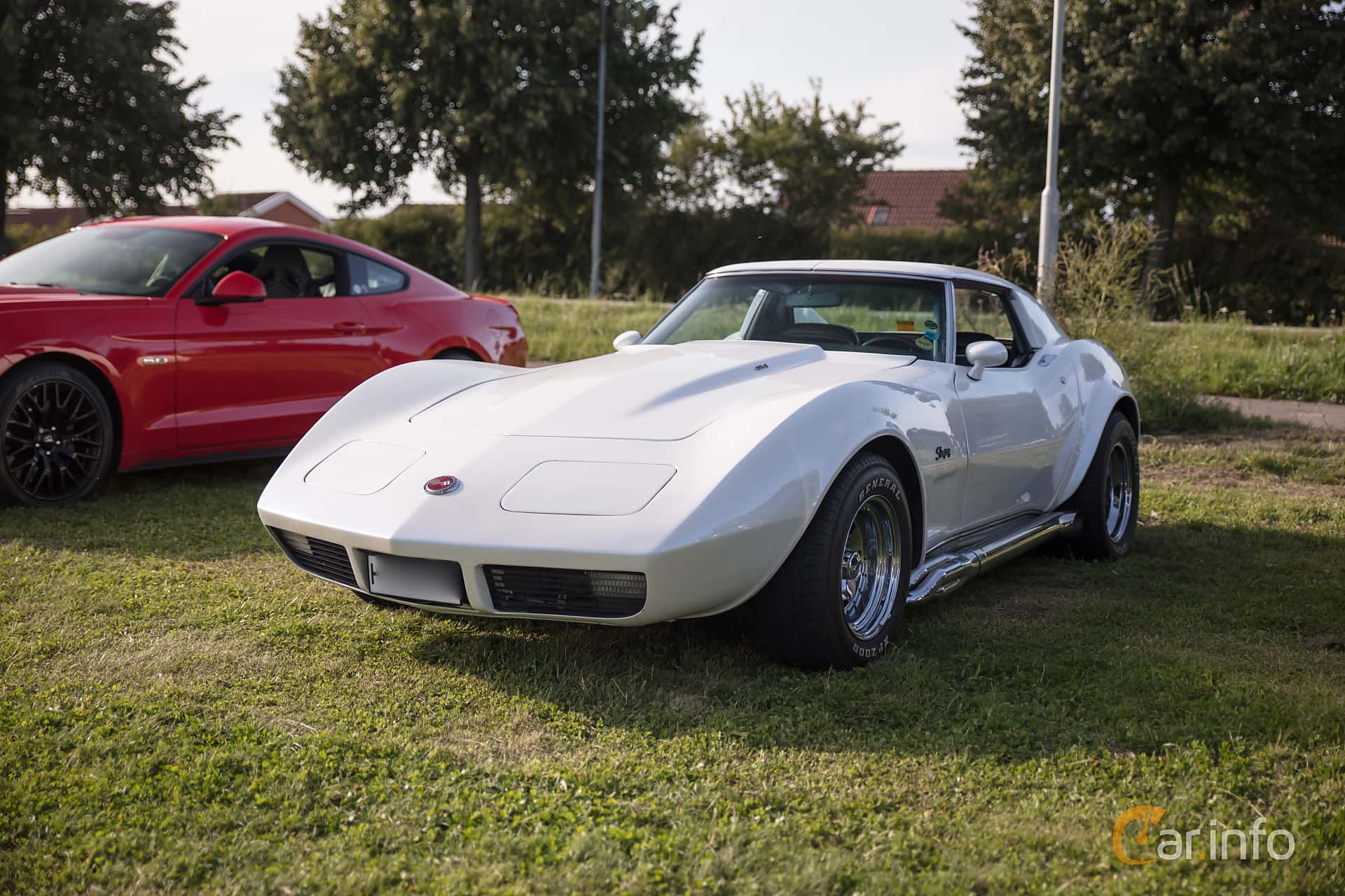 Chevrolet Corvette Stingray 454 C3 3rd Facelift