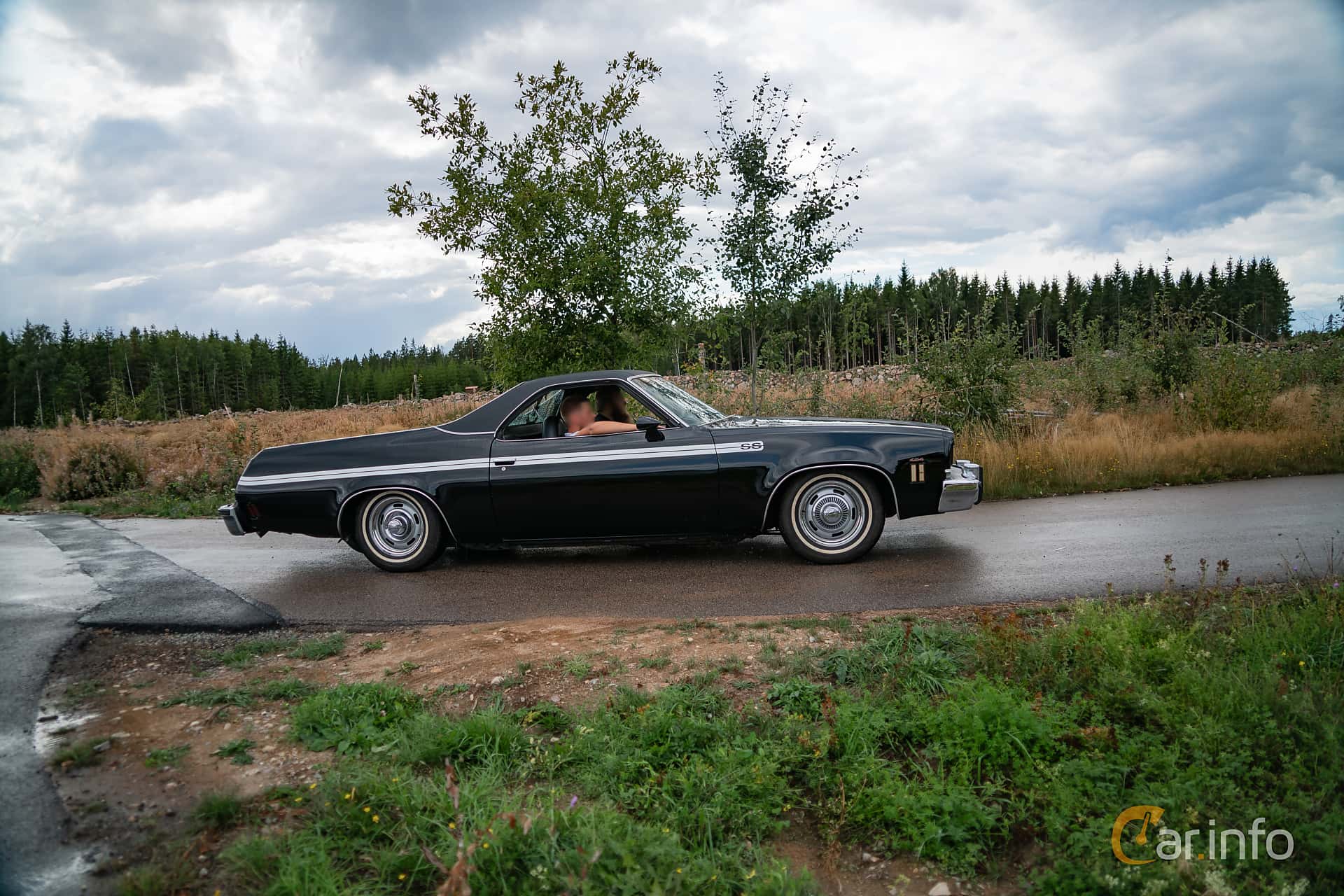 Chevrolet El Camino Classic 7.4 V8 Hydra-Matic, 248hp, 1973