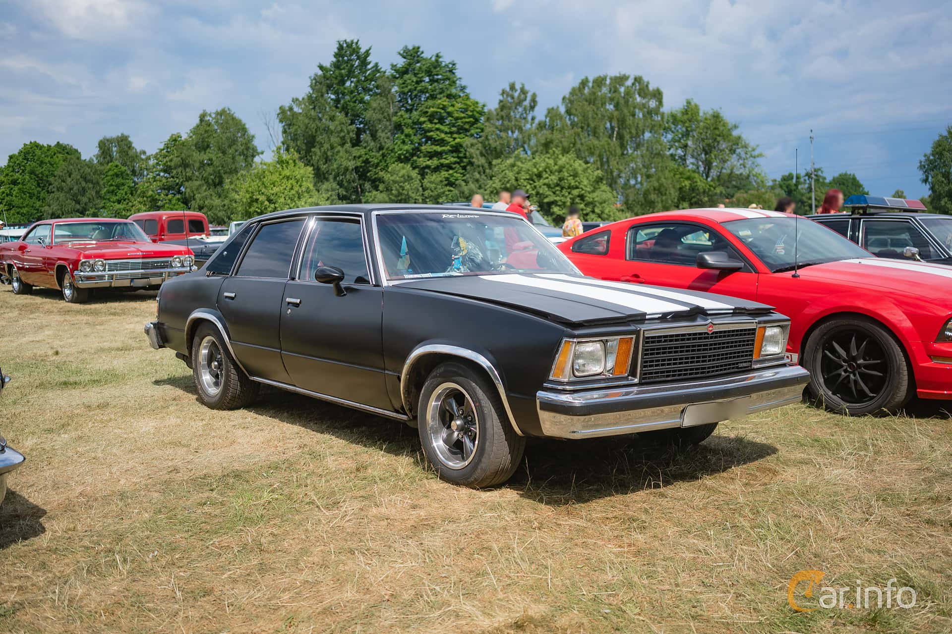 Chevrolet Malibu 5.0 V8 Manual, 162hp, 1979
