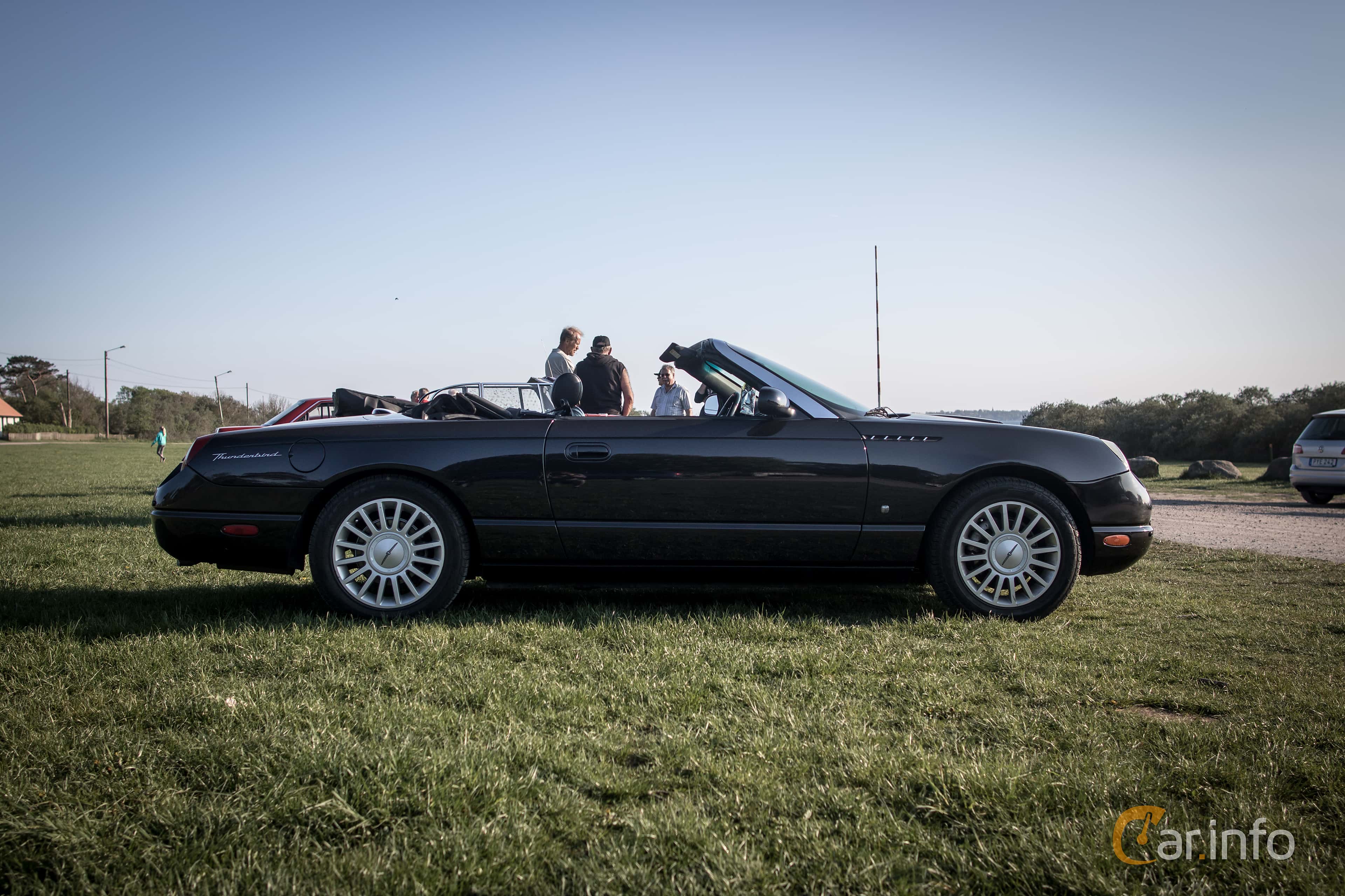 Ford Thunderbird Convertible 11th Generation 3.9 V8 Automatic, 5-speed