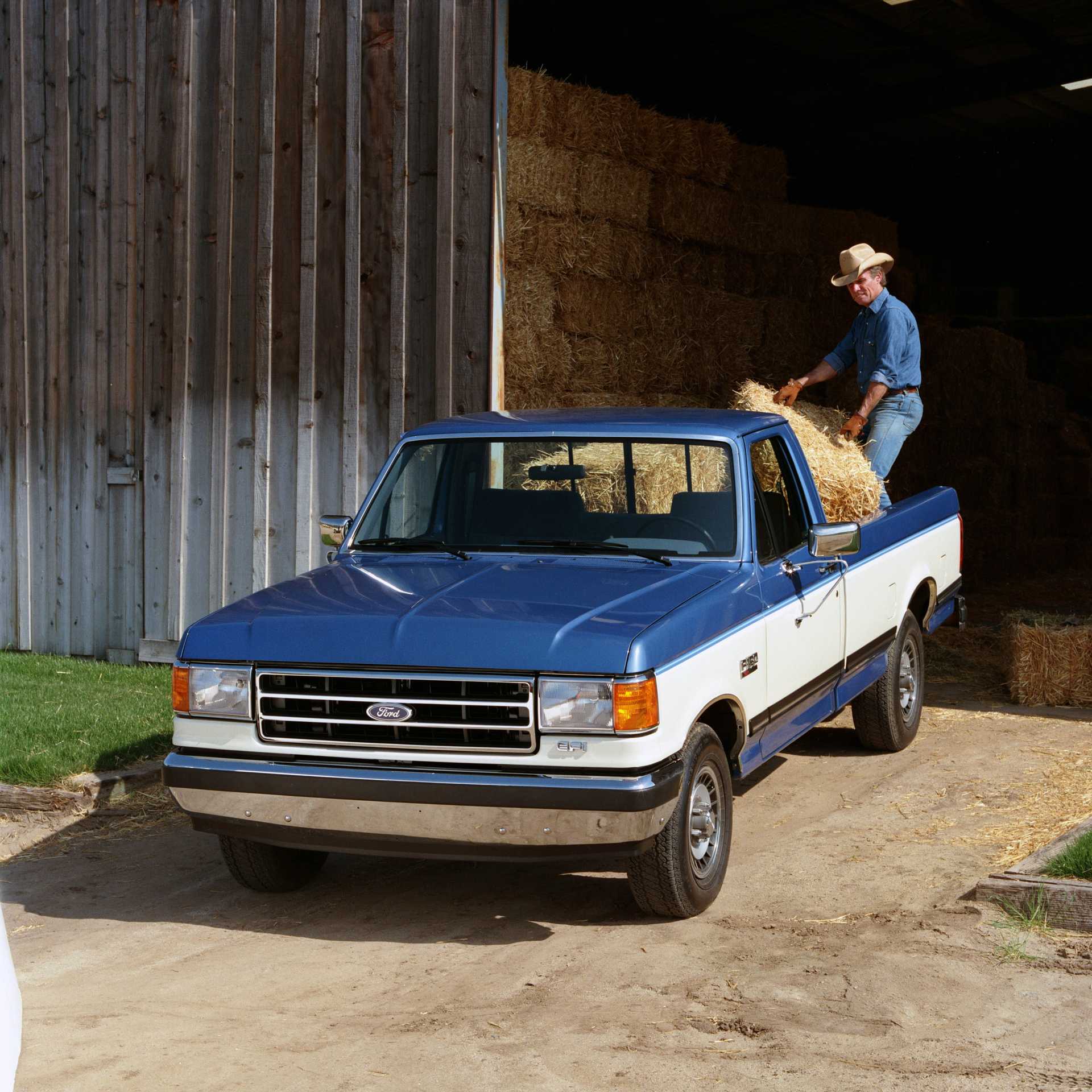 Ford F-150 Regular Cab 5.0 V8 EFI Automatic, 188hp, 1991