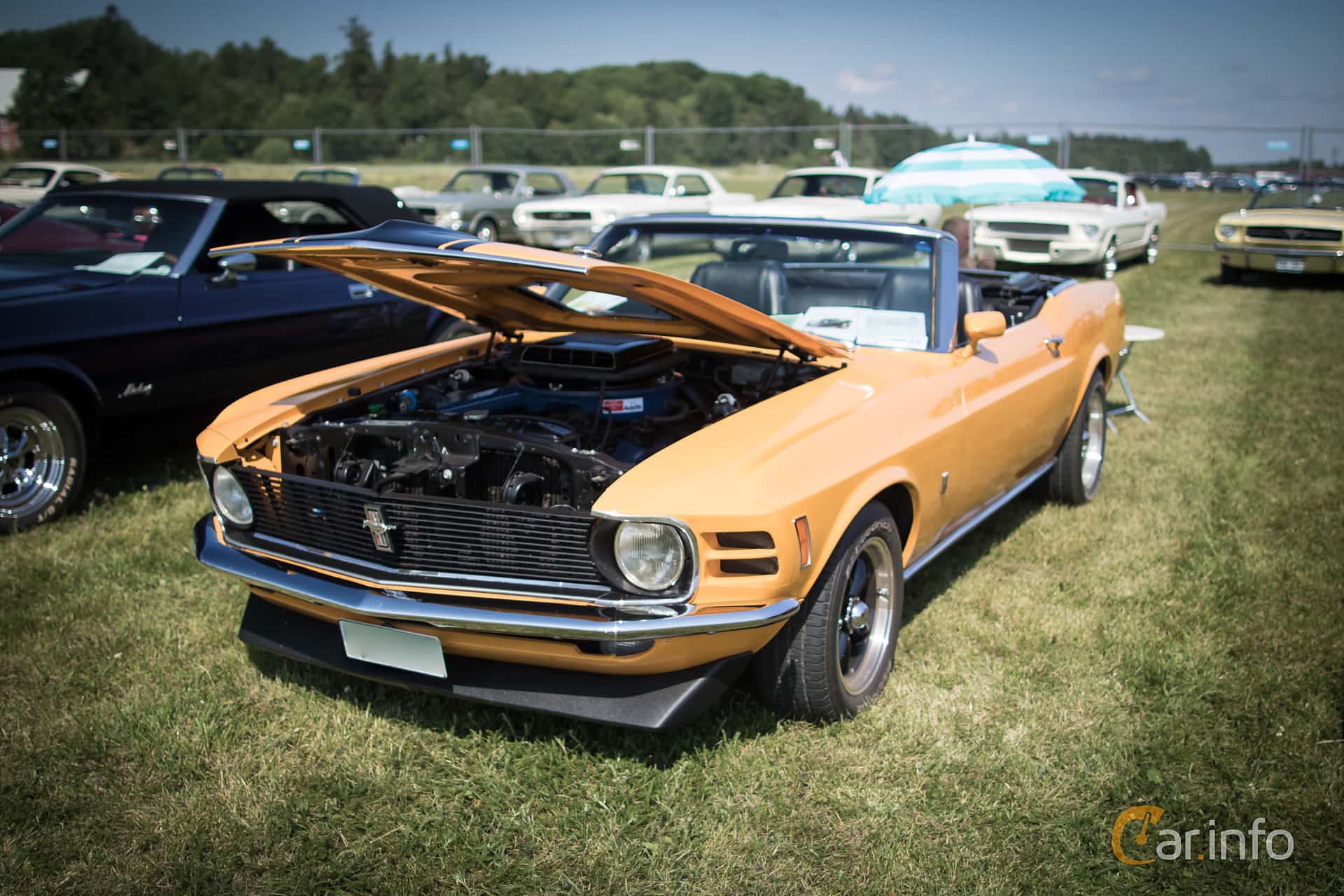 Ford Mustang Convertible 5.8 V8 Manual, 305hp, 1970