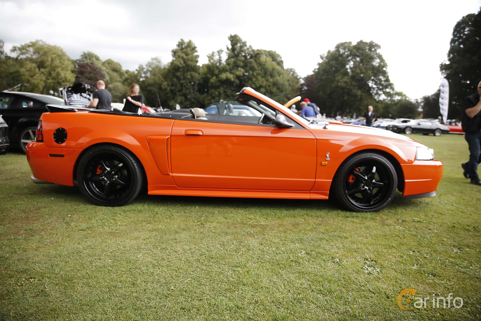Ford Mustang SVT Cobra Convertible 4.6 Manual, 324hp, 2002