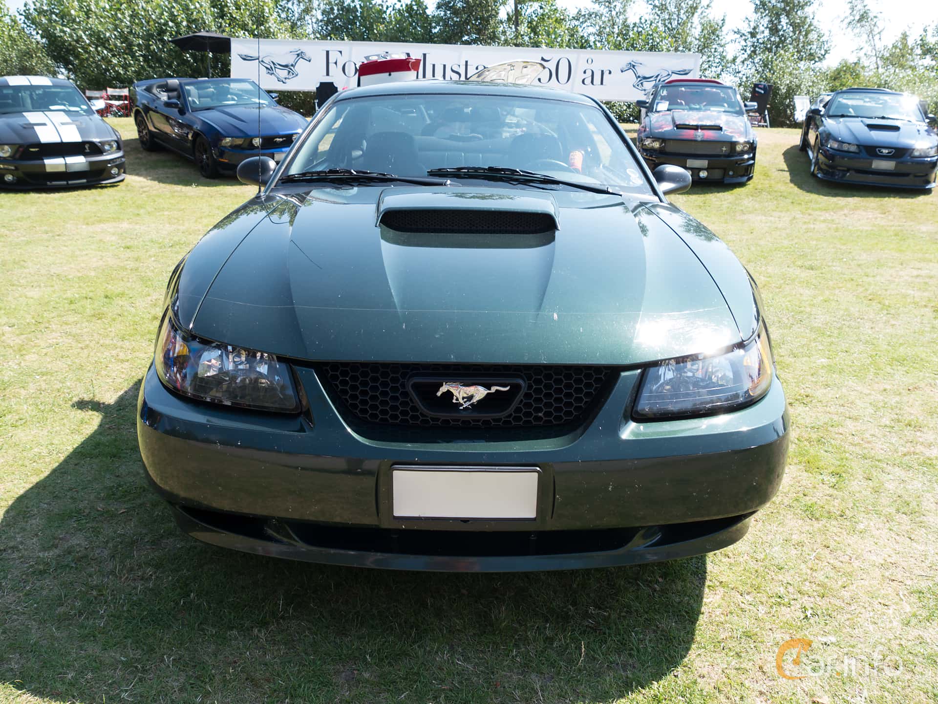 Ford Mustang Bullitt GT 4.6 Manual, 269hp, 2001