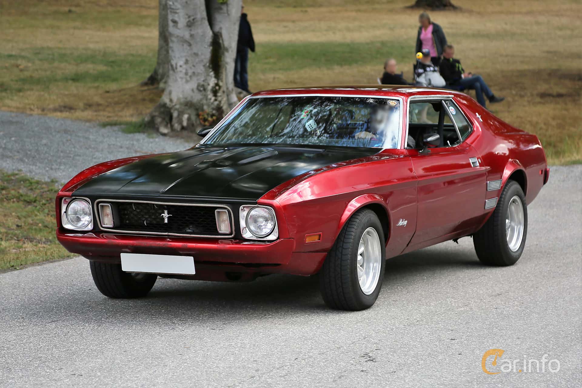 Ford Mustang Hardtop Grande 5.8 V8 179hp, 1973