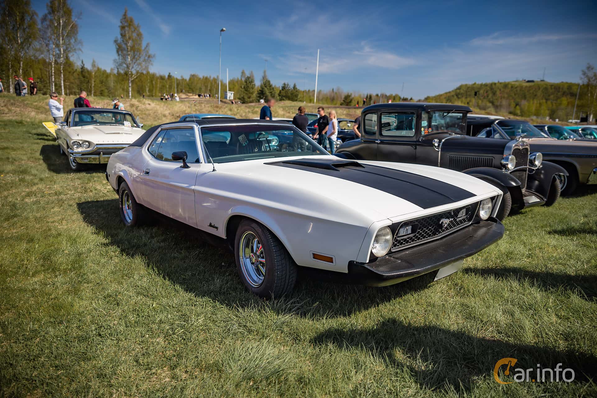 Ford Mustang Hardtop 4.9 V8 Automatic, 142hp, 1973