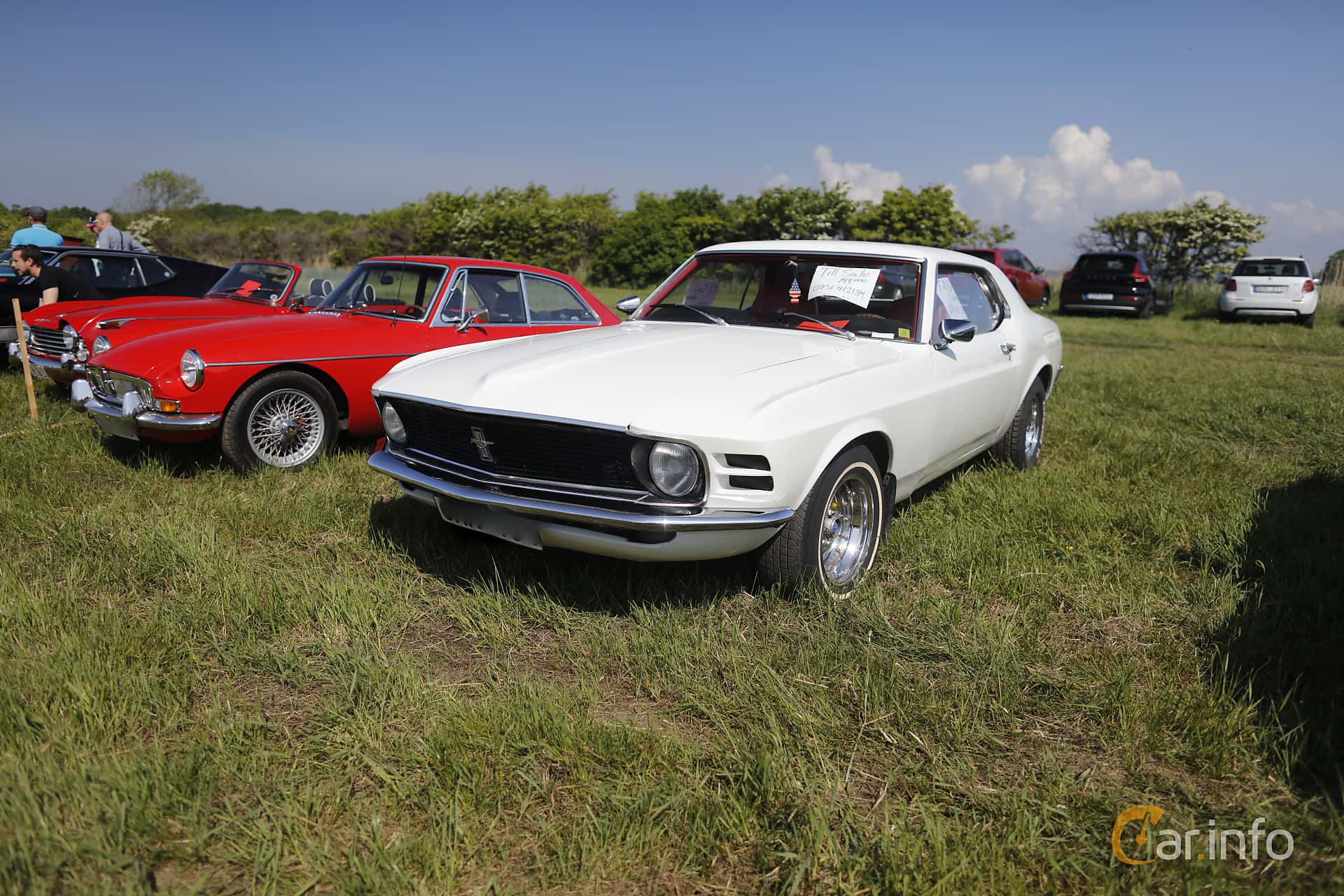 Ford Mustang Hardtop 4.1 157hp, 1970