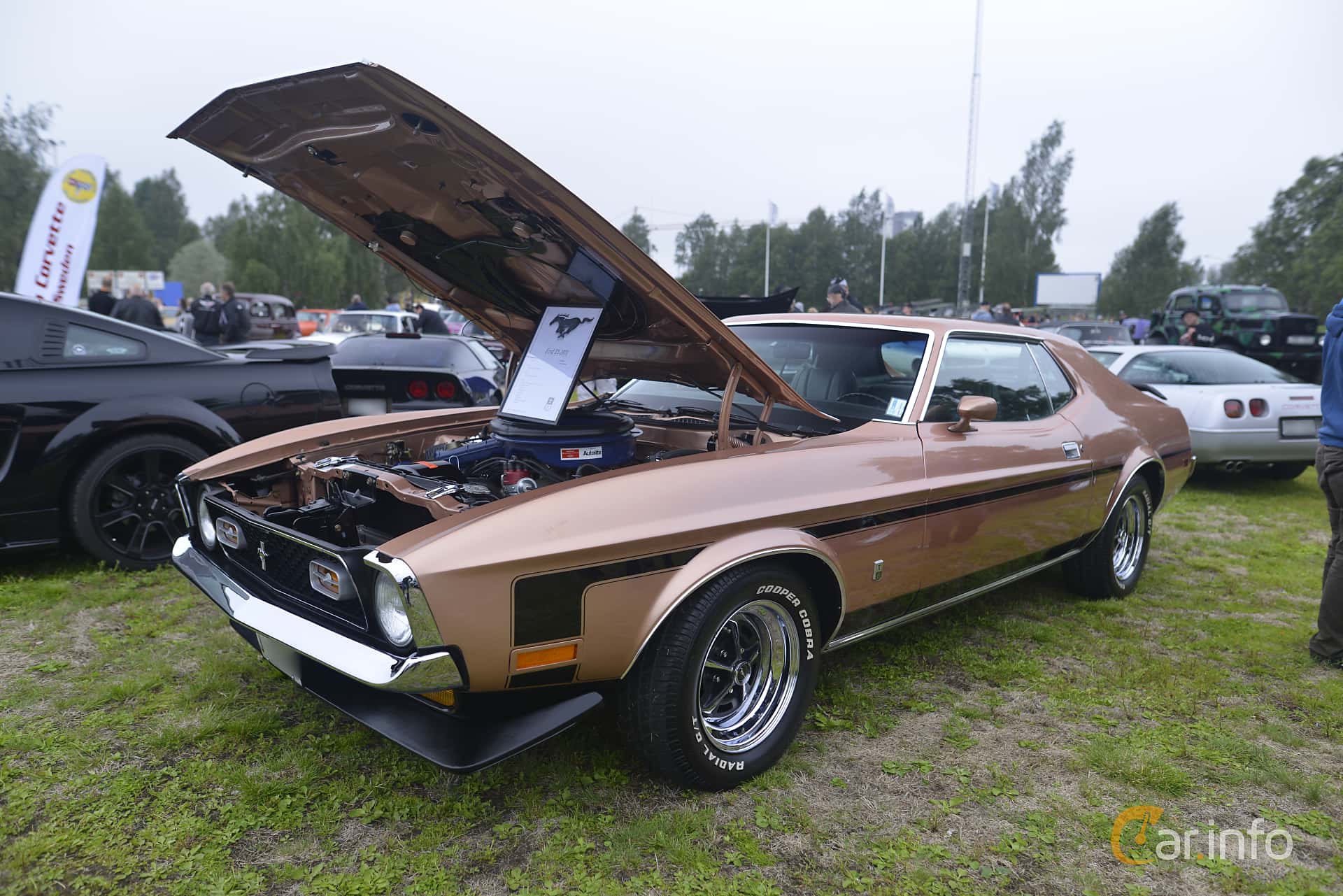 Ford Mustang Hardtop 5.8 V8 Automatic, 289hp, 1971