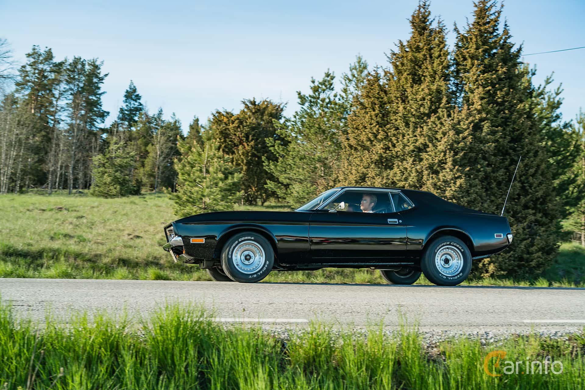 Ford Mustang 4.1 I 4th Generation