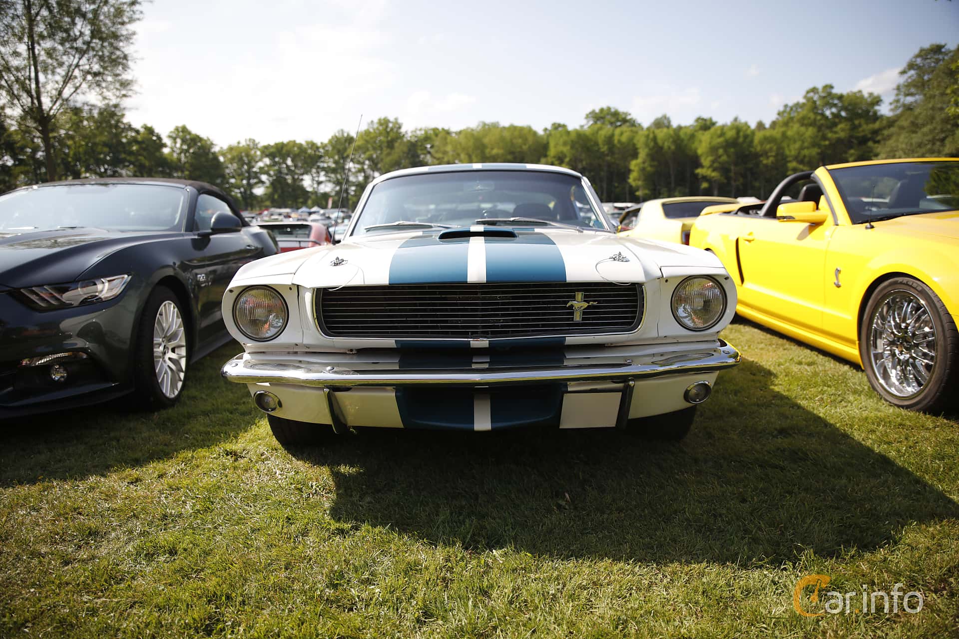 Ford Mustang Shelby GT350 I 1st Generation, Manual, 4-speed