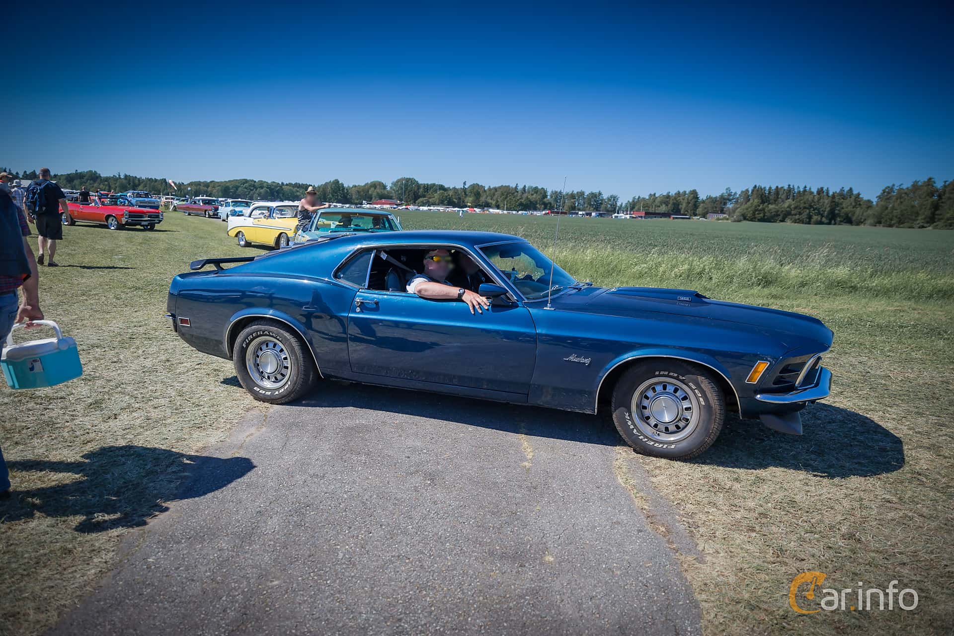 Ford Mustang 4.9 V8 Automatic, 213hp, 1970