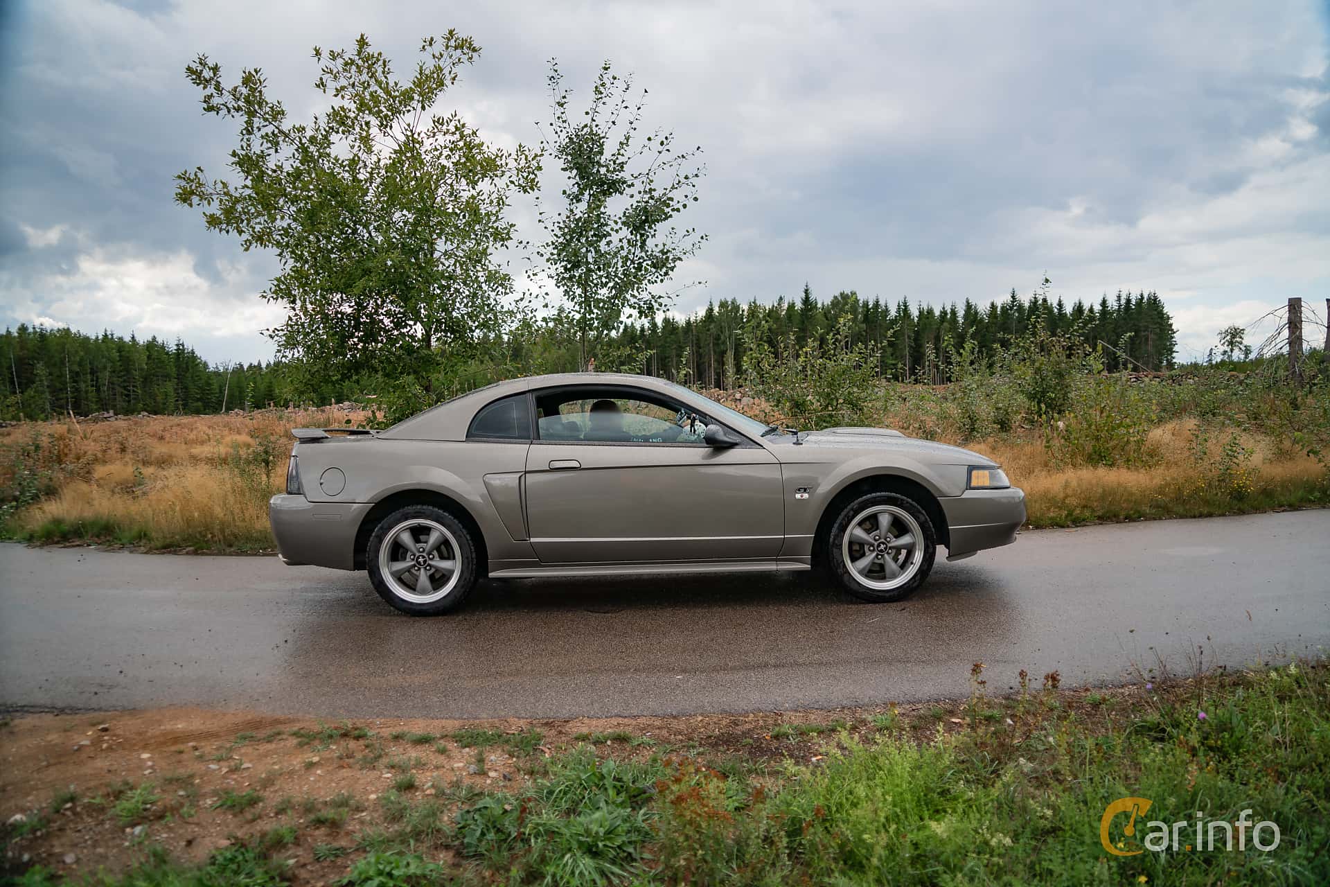 Ford Mustang GT 4.6 V8 Automatic, 264hp, 2002
