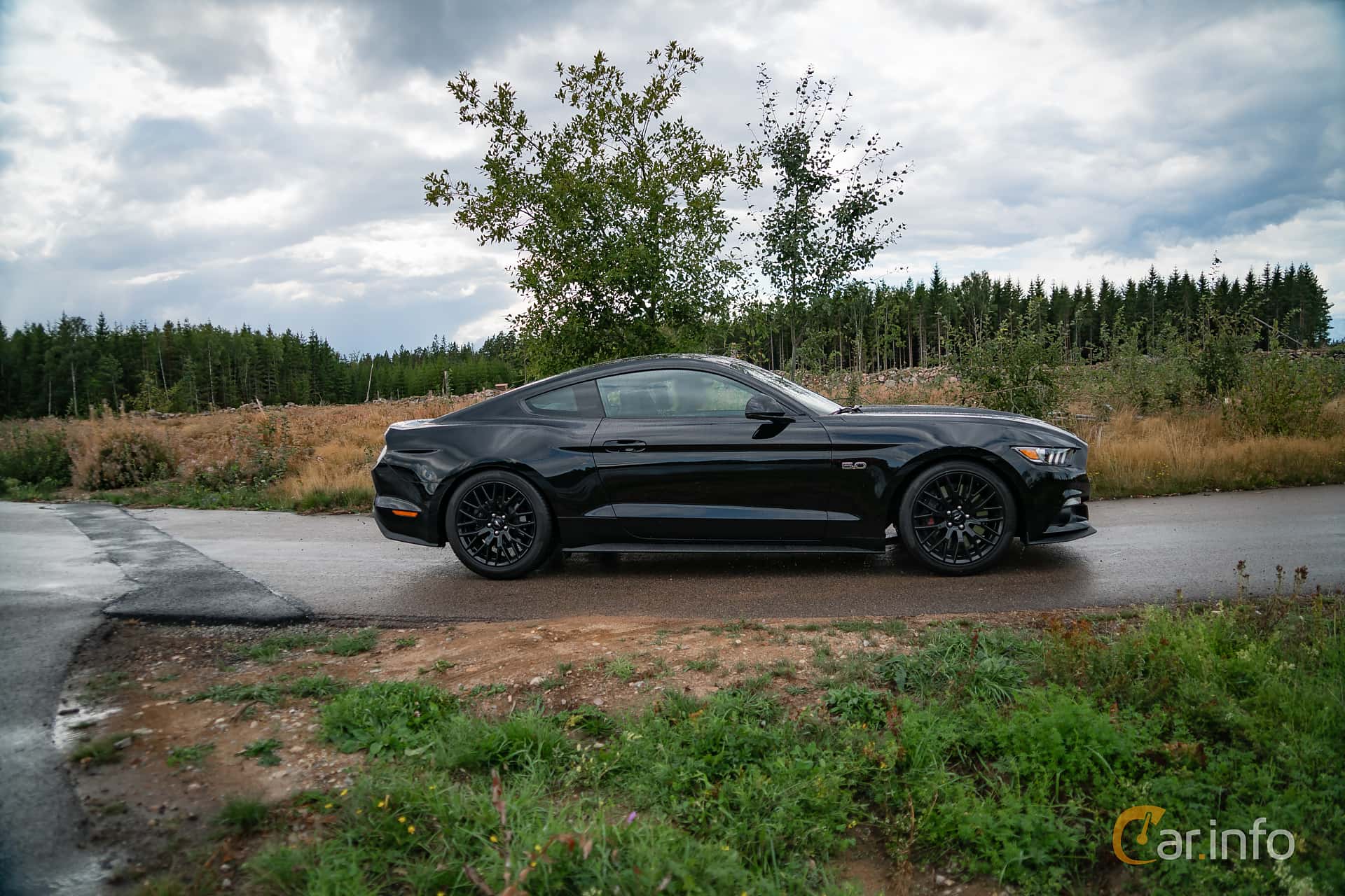 Ford Mustang GT 5.0 V8 Manual, 421hp, 2017